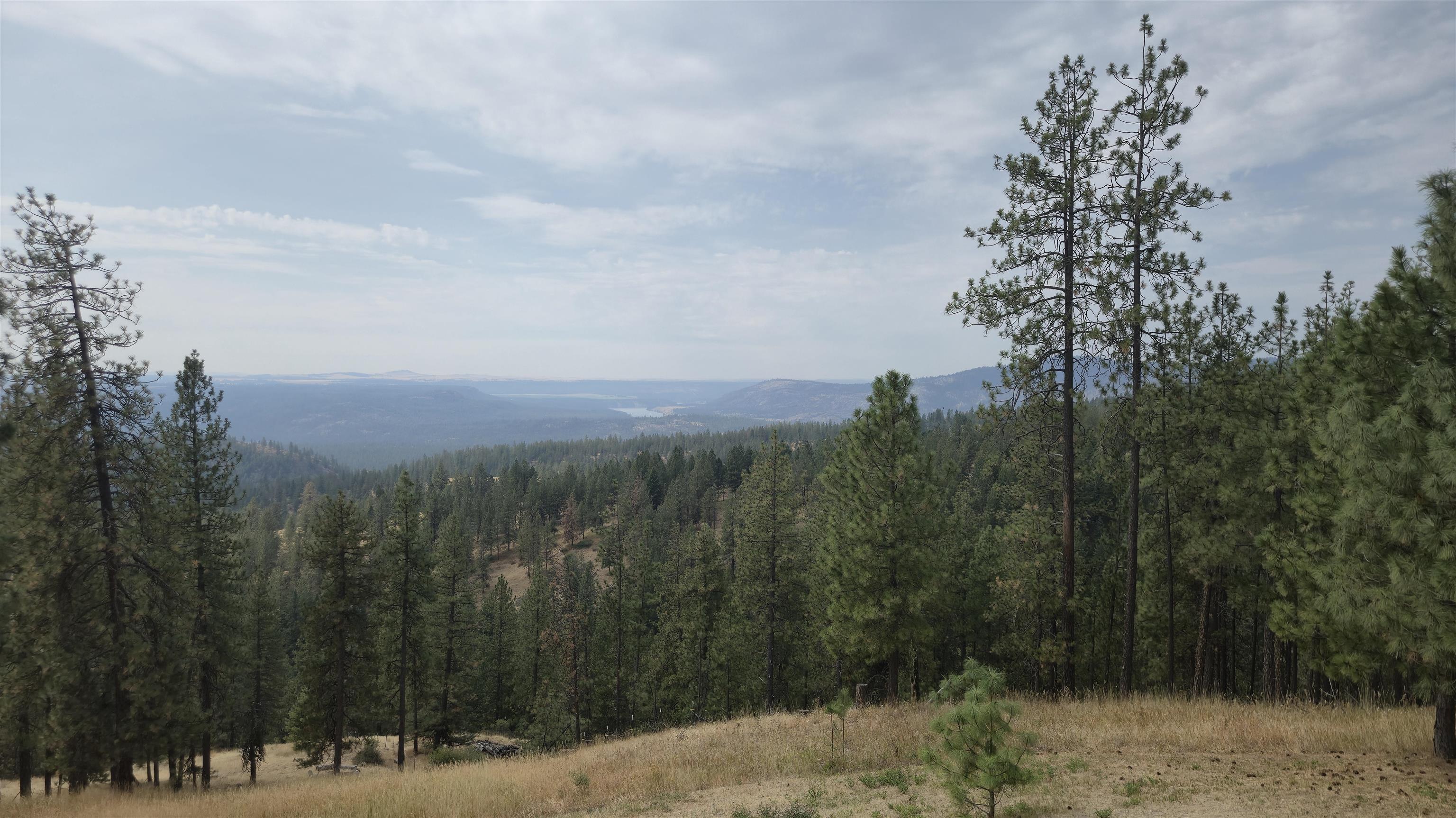 6551 Blue Ridge Way - Photo 42