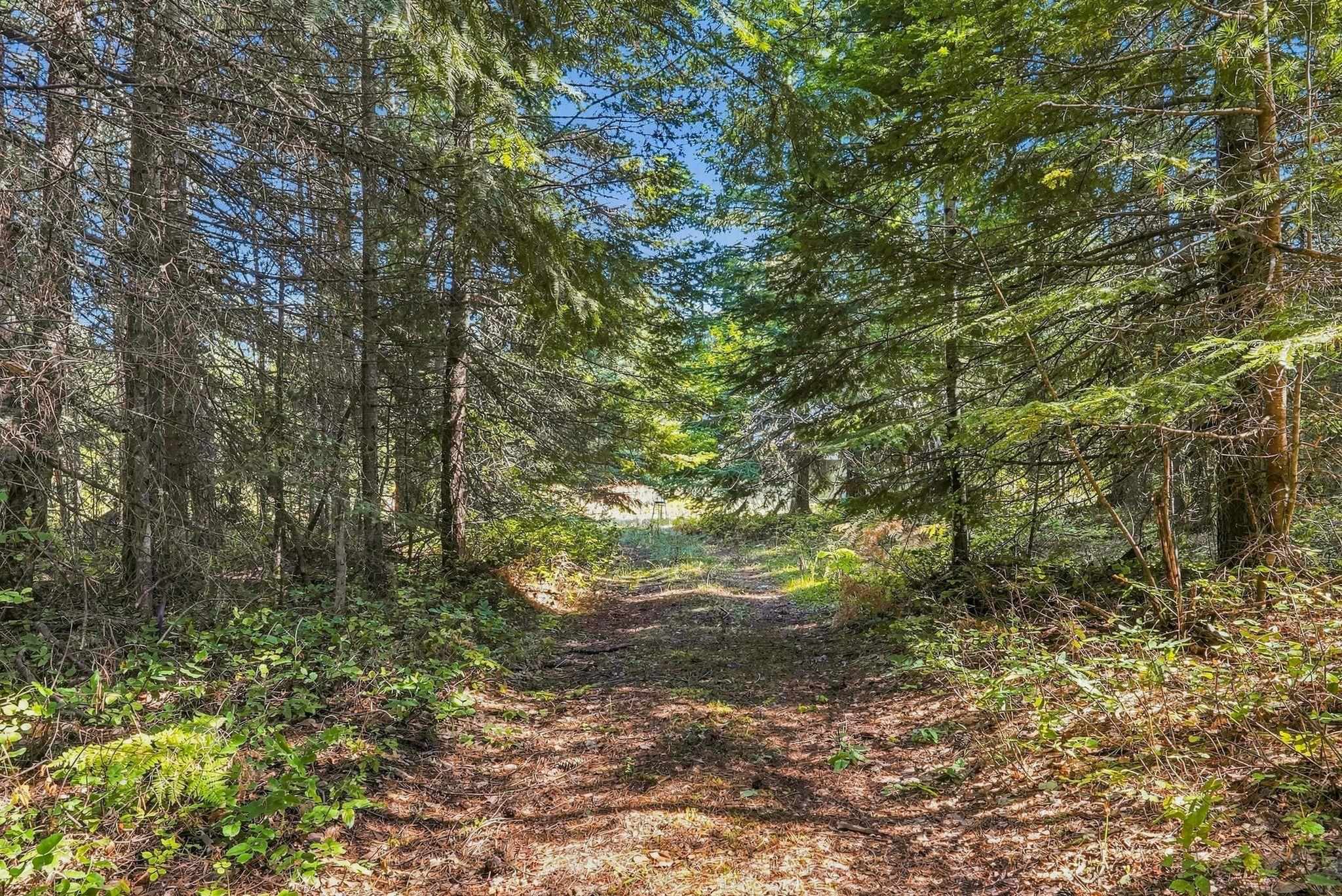 408 Calispel Trail Loop - Photo 6