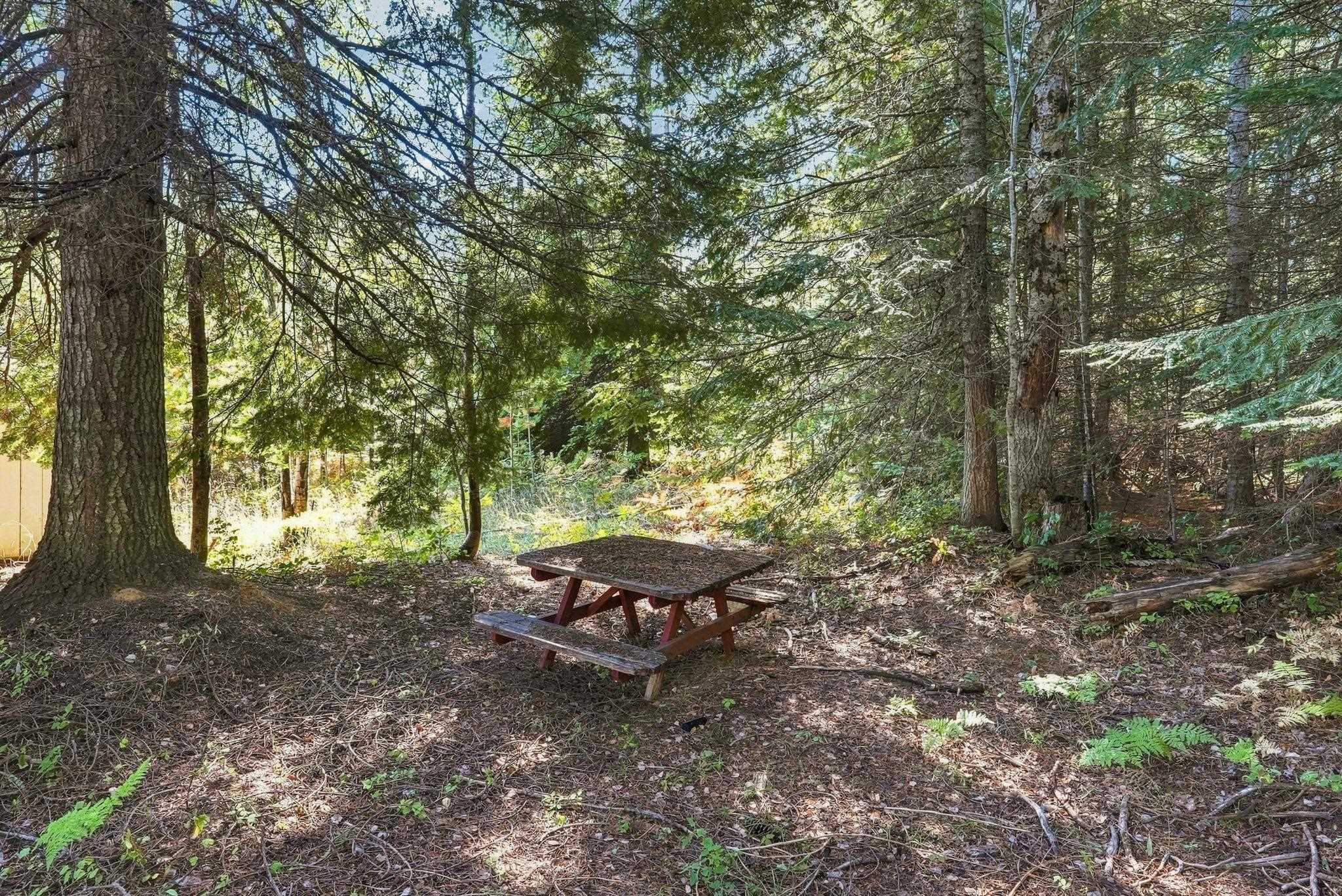 408 Calispel Trail Loop - Photo 7