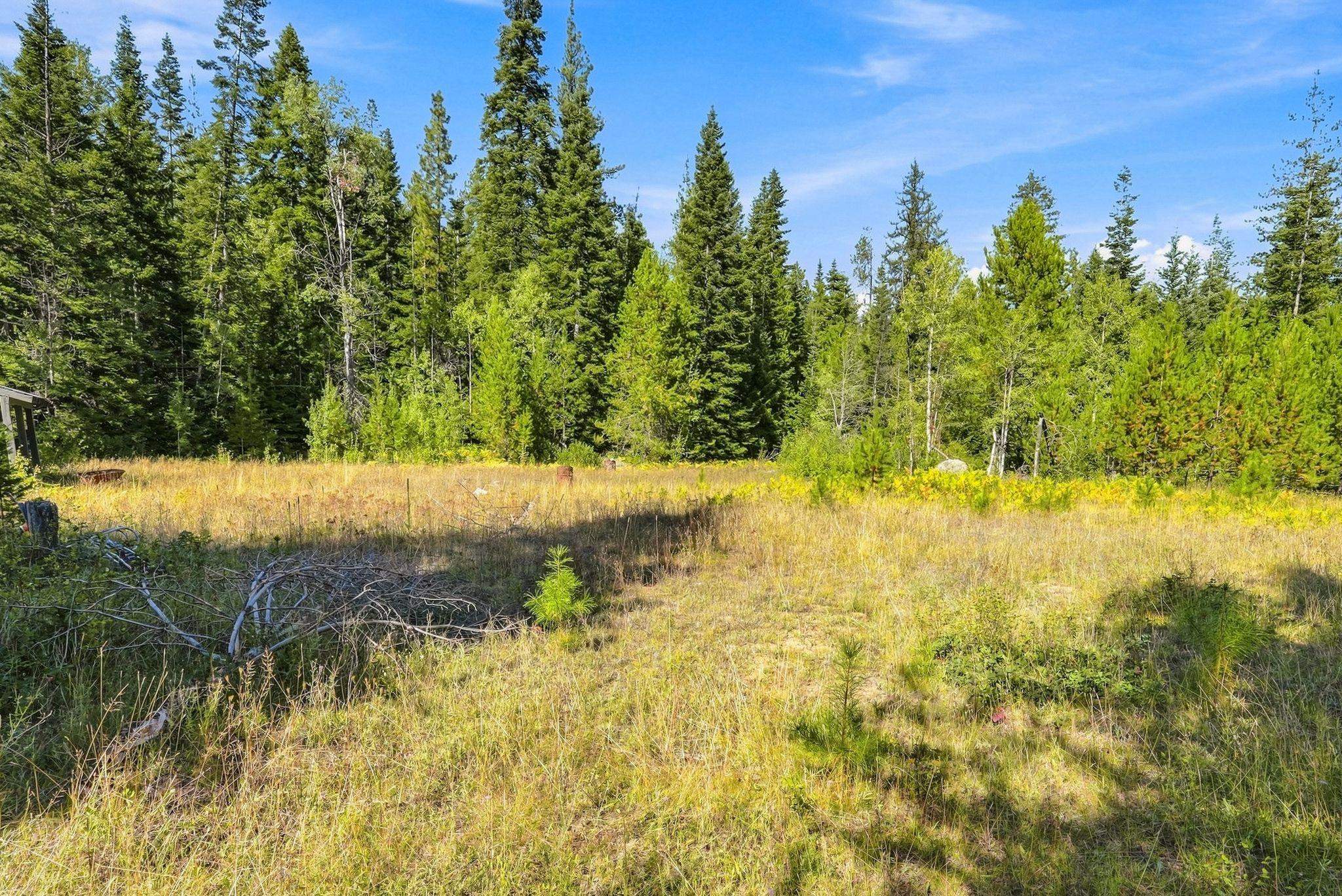 408 Calispel Trail Loop - Photo 9