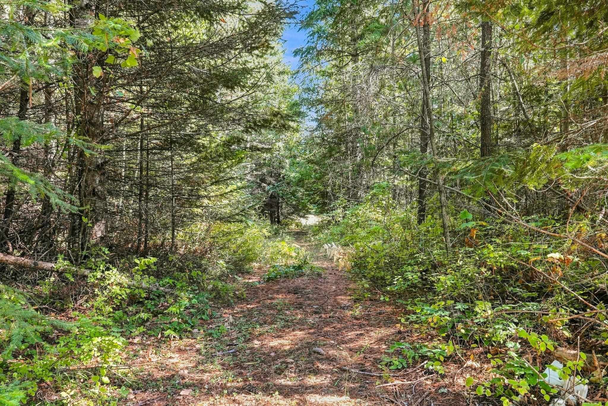408 Calispel Trail Loop - Photo 10