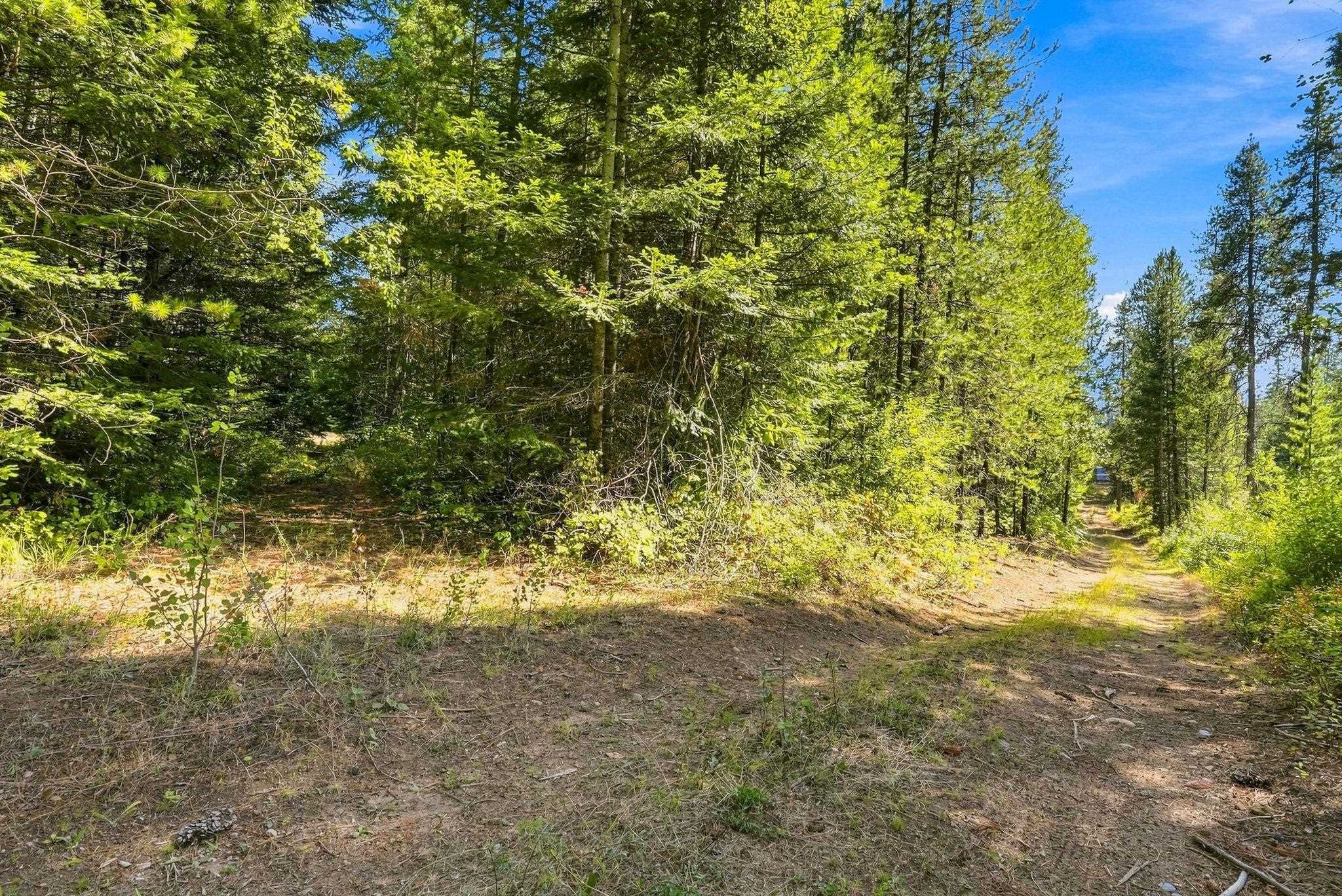 408 Calispel Trail Loop - Photo 11