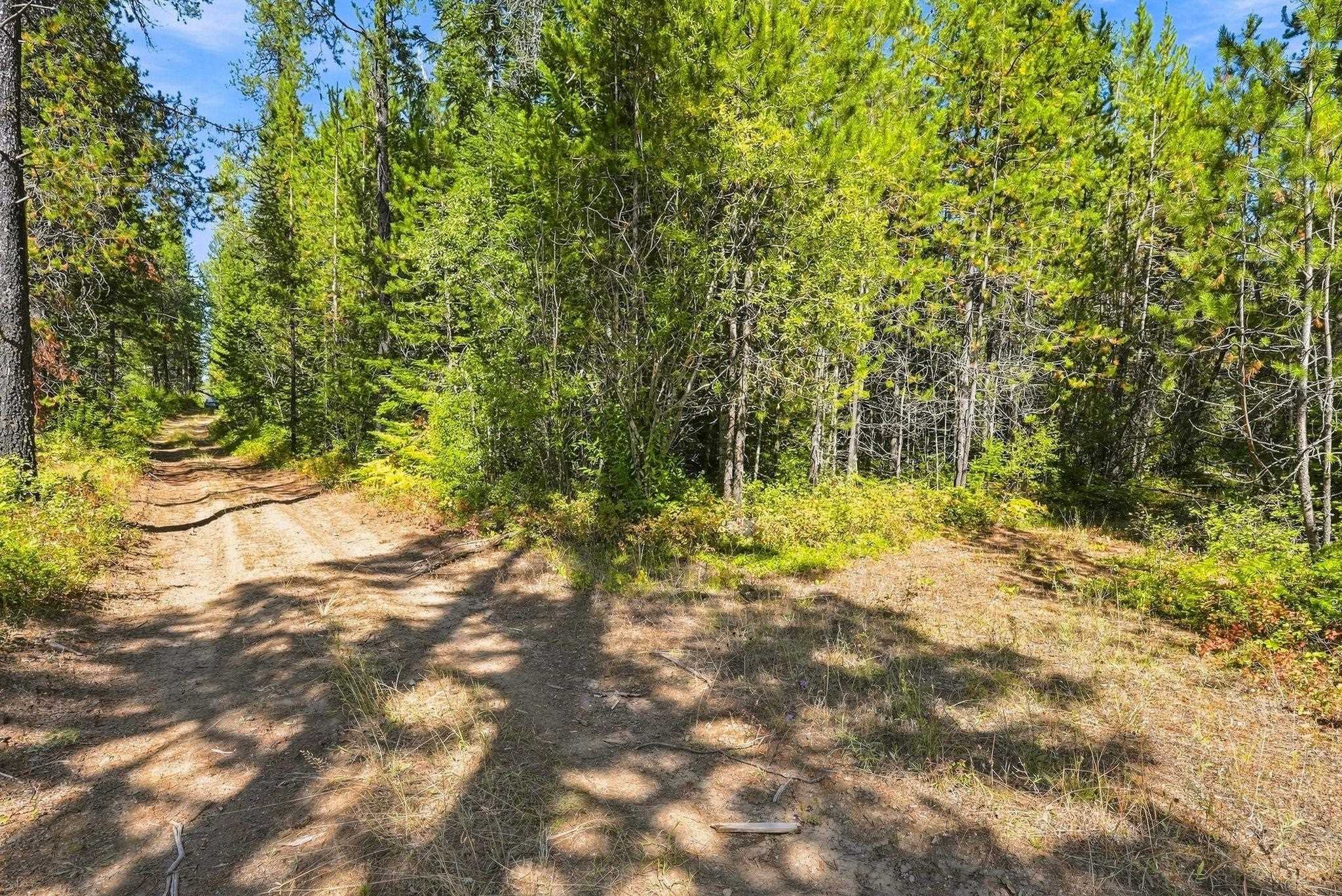 408 Calispel Trail Loop - Photo 12