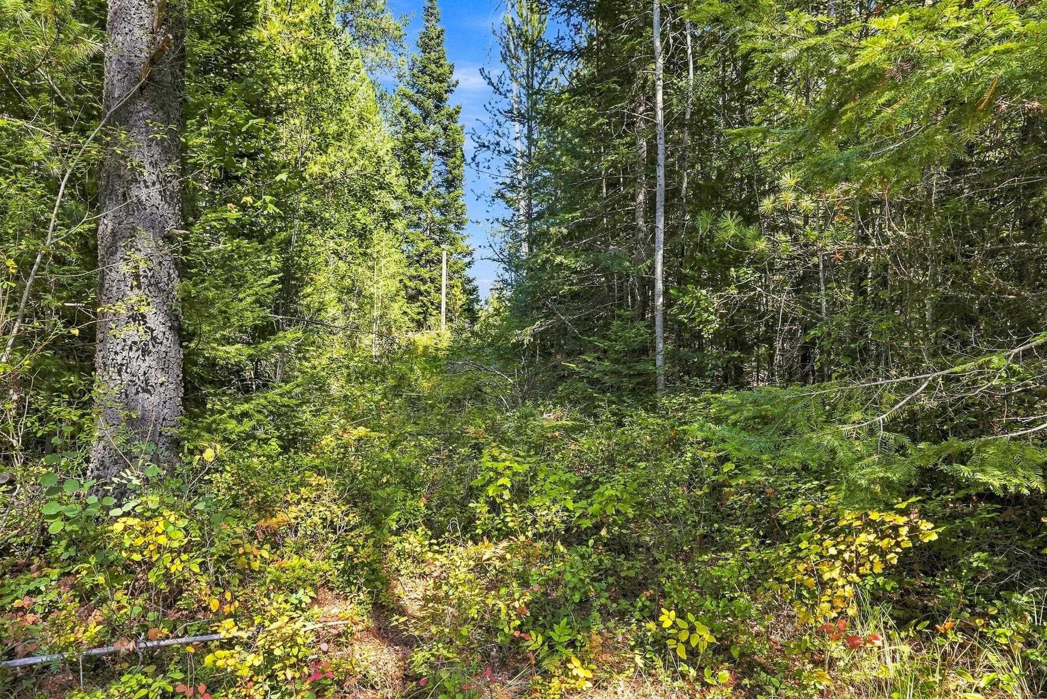408 Calispel Trail Loop - Photo 13