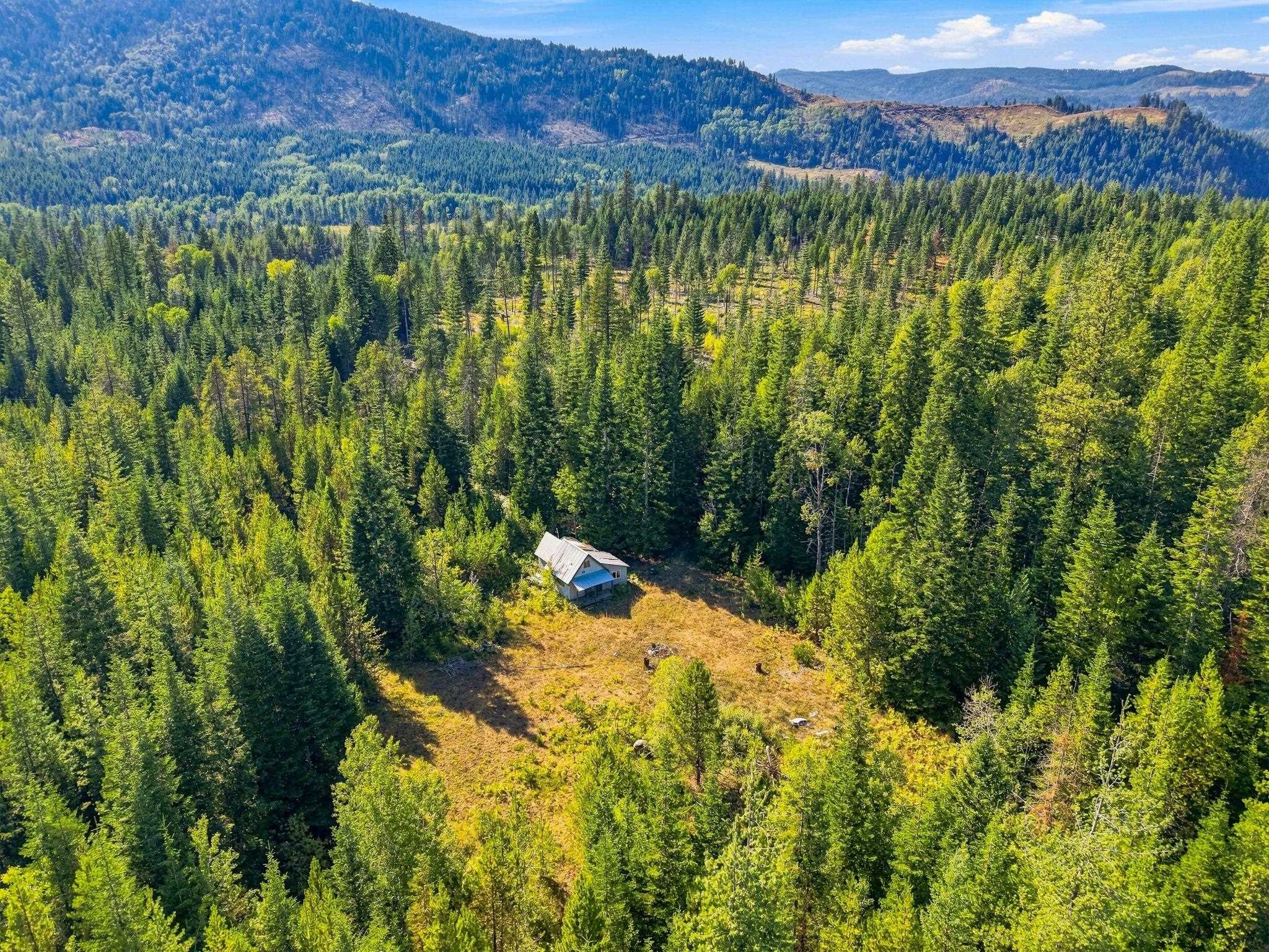 408 Calispel Trail Loop - Photo 16