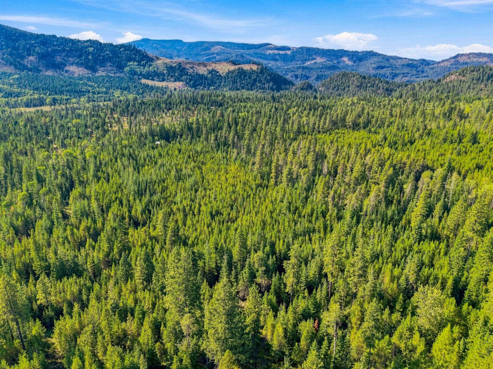 408 Calispel Trail Loop - Photo 19
