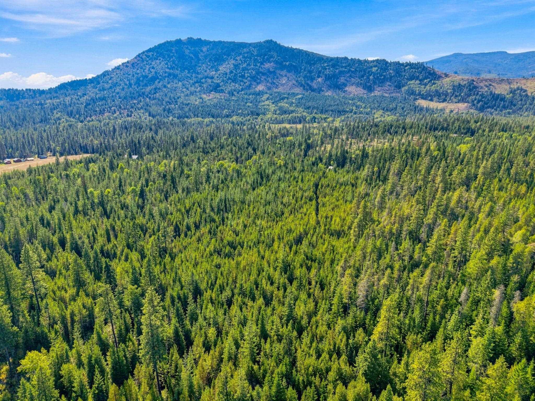 408 Calispel Trail Loop - Photo 20