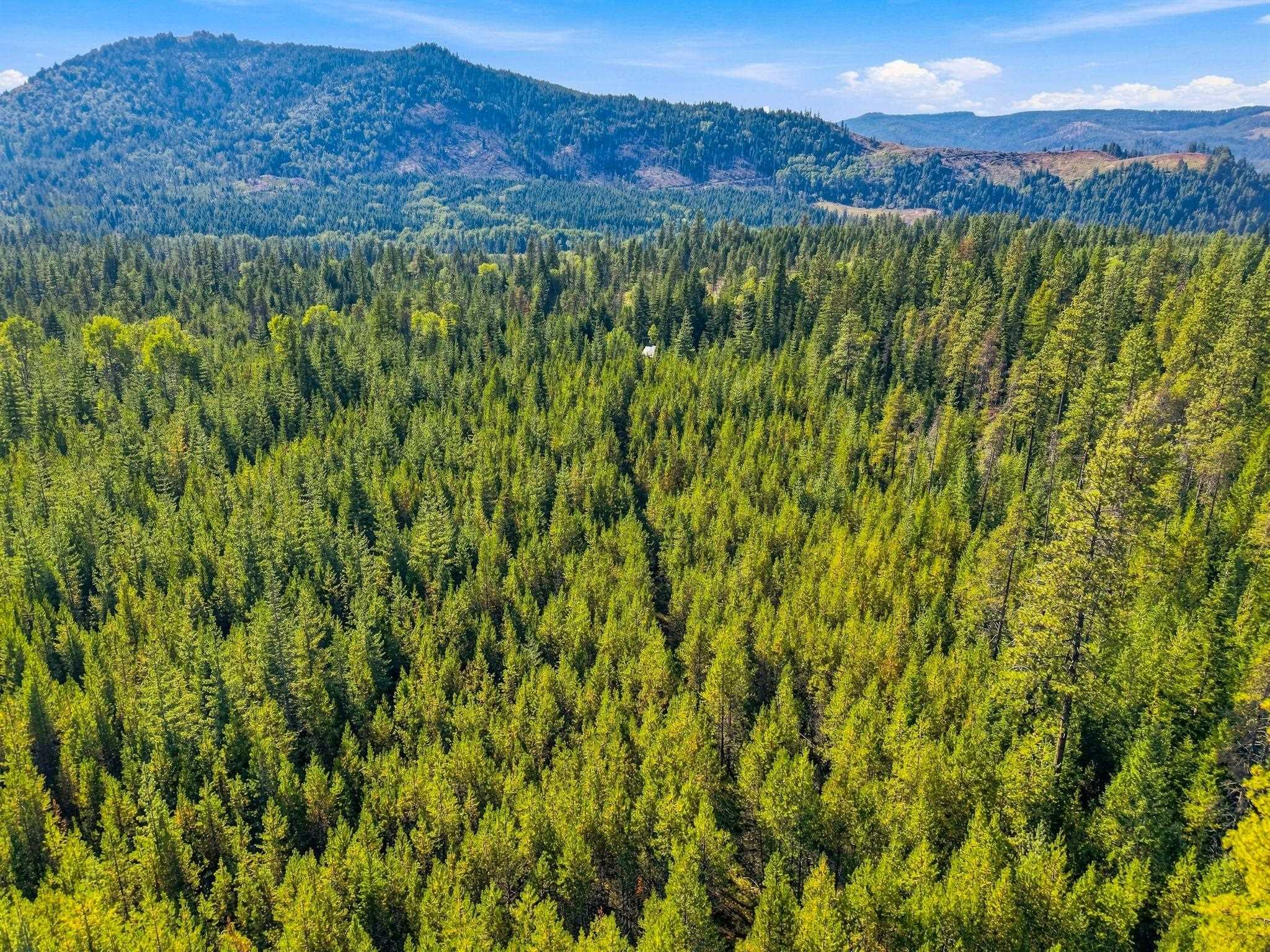 408 Calispel Trail Loop - Photo 21