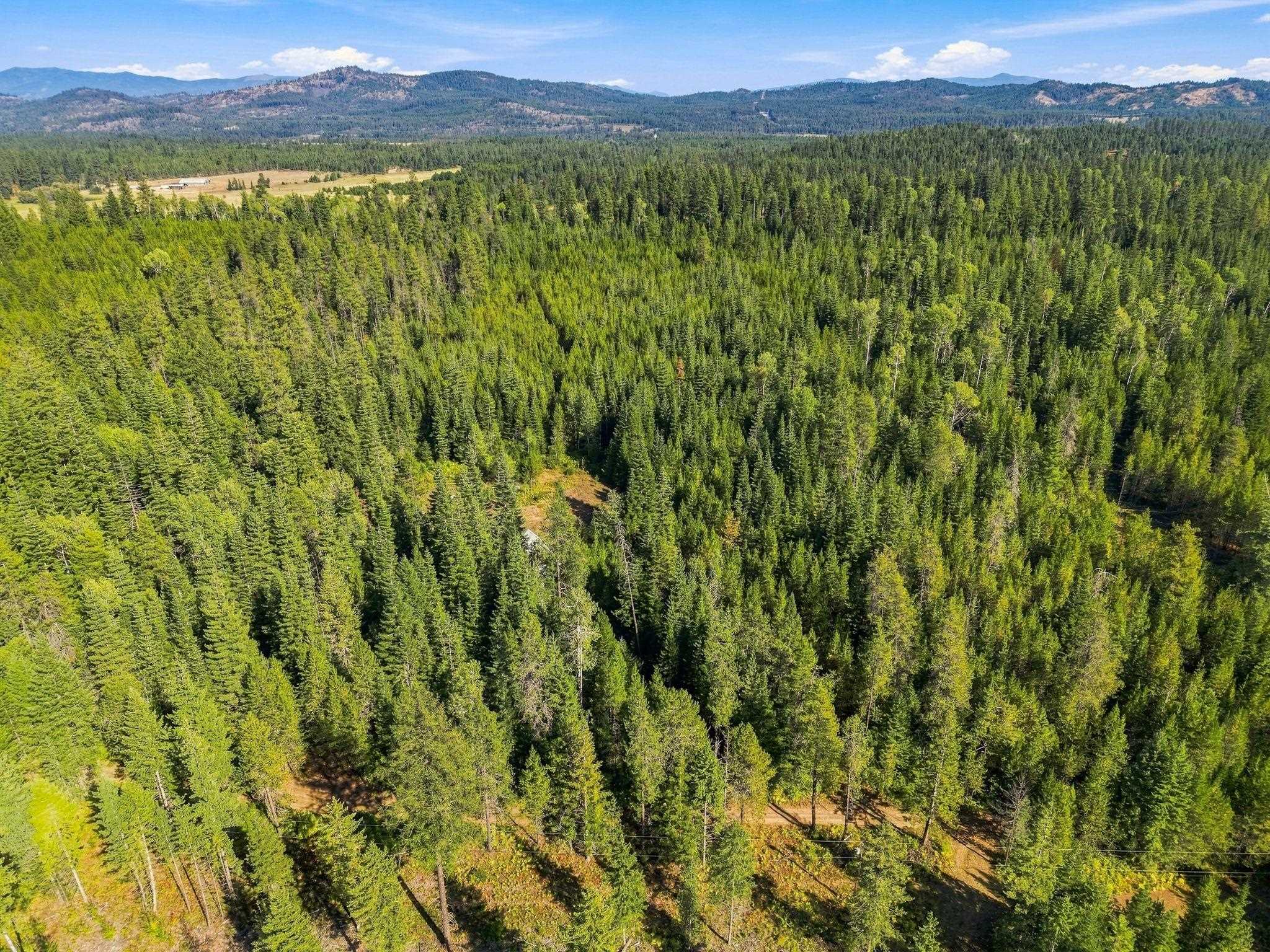 408 Calispel Trail Loop - Photo 22