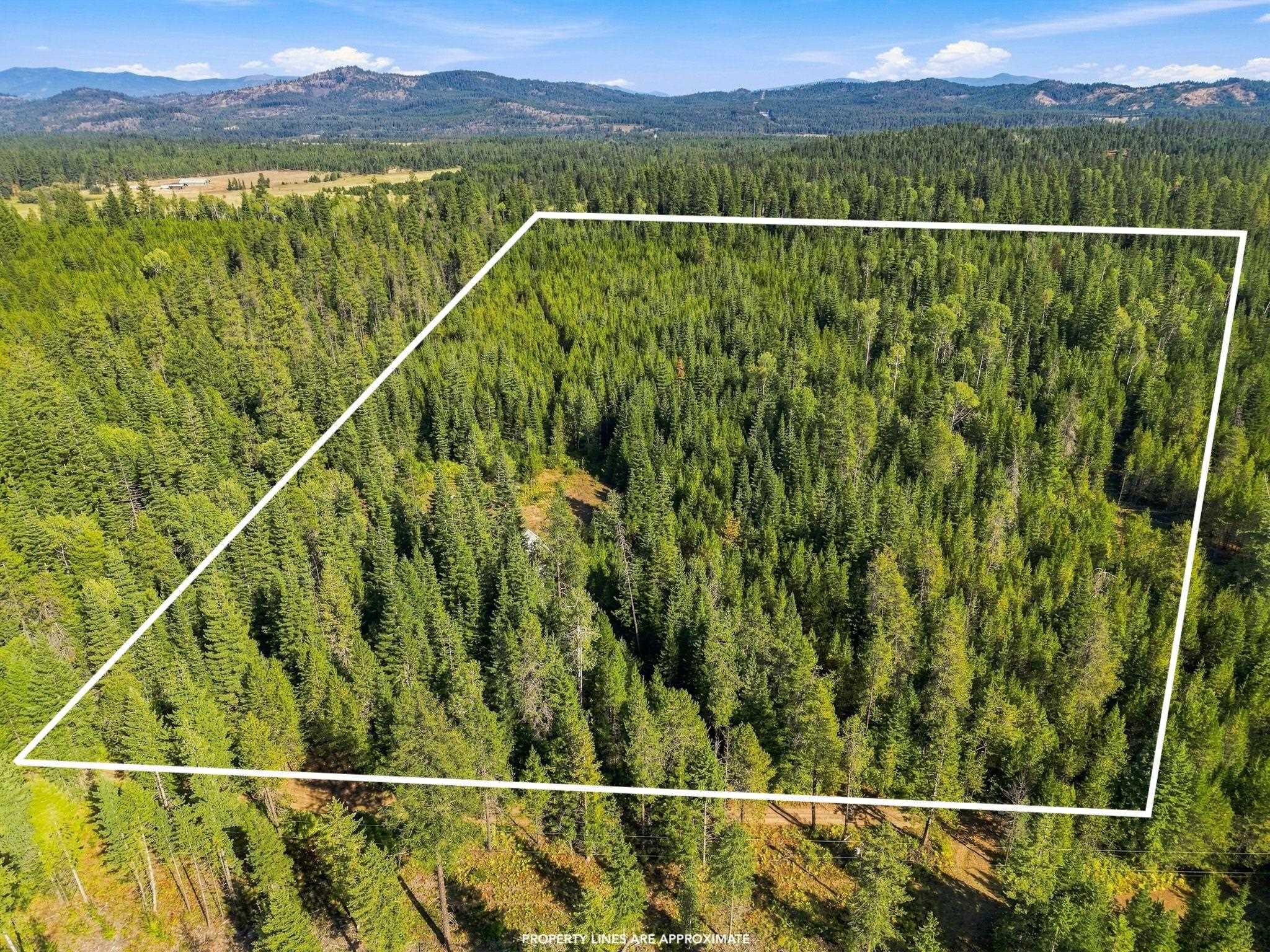408 Calispel Trail Loop - Photo 23