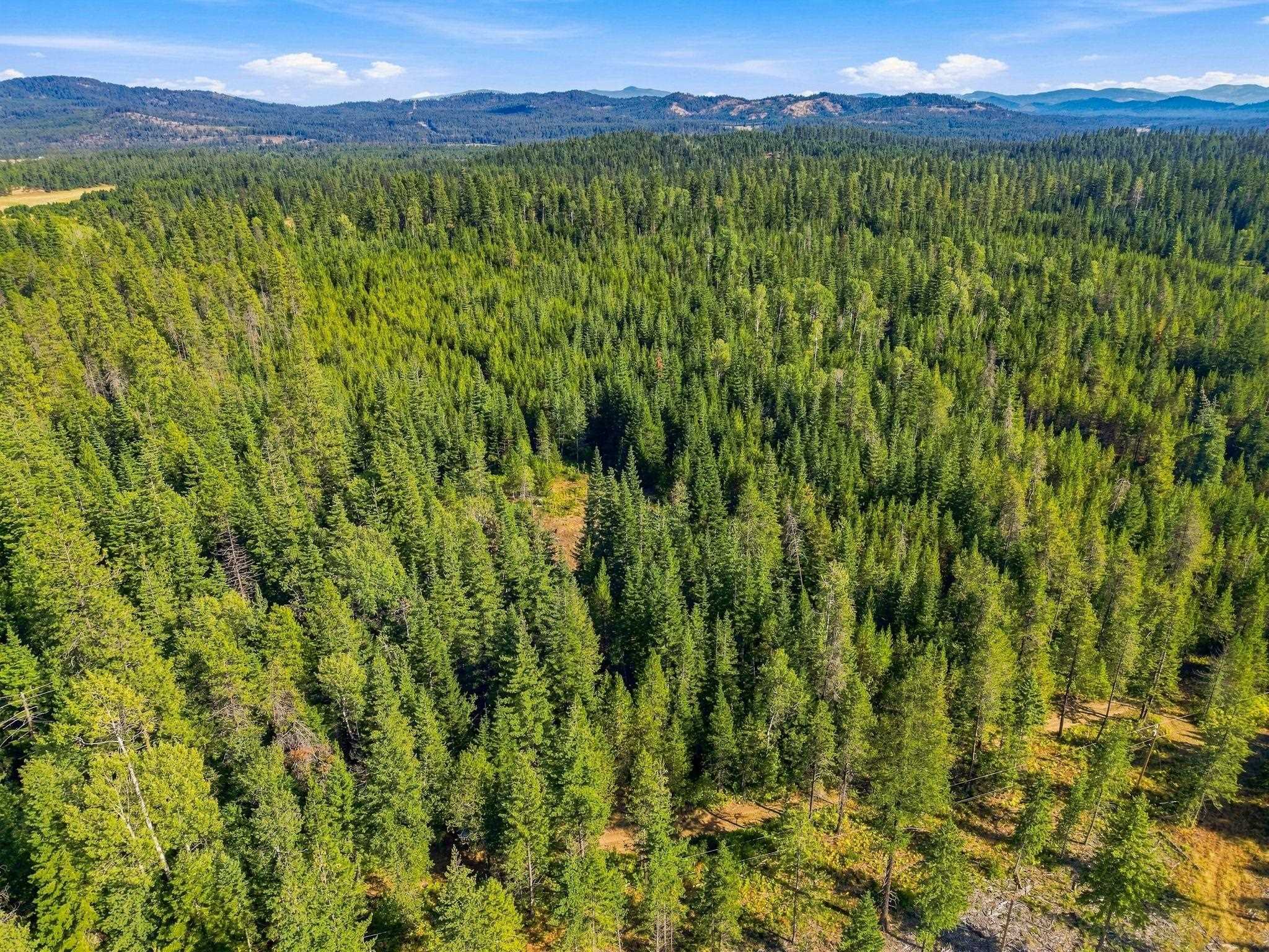 408 Calispel Trail Loop - Photo 24