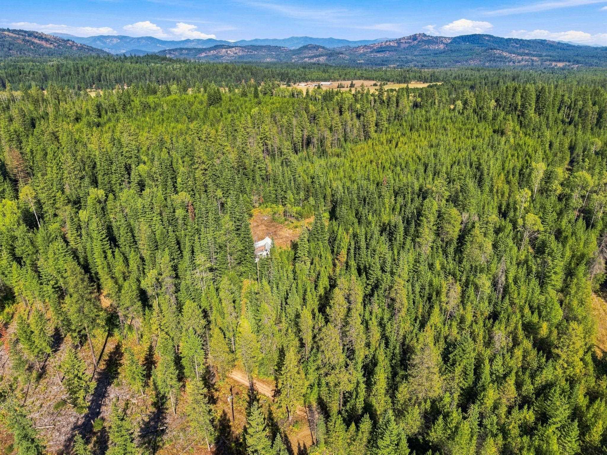 408 Calispel Trail Loop - Photo 25