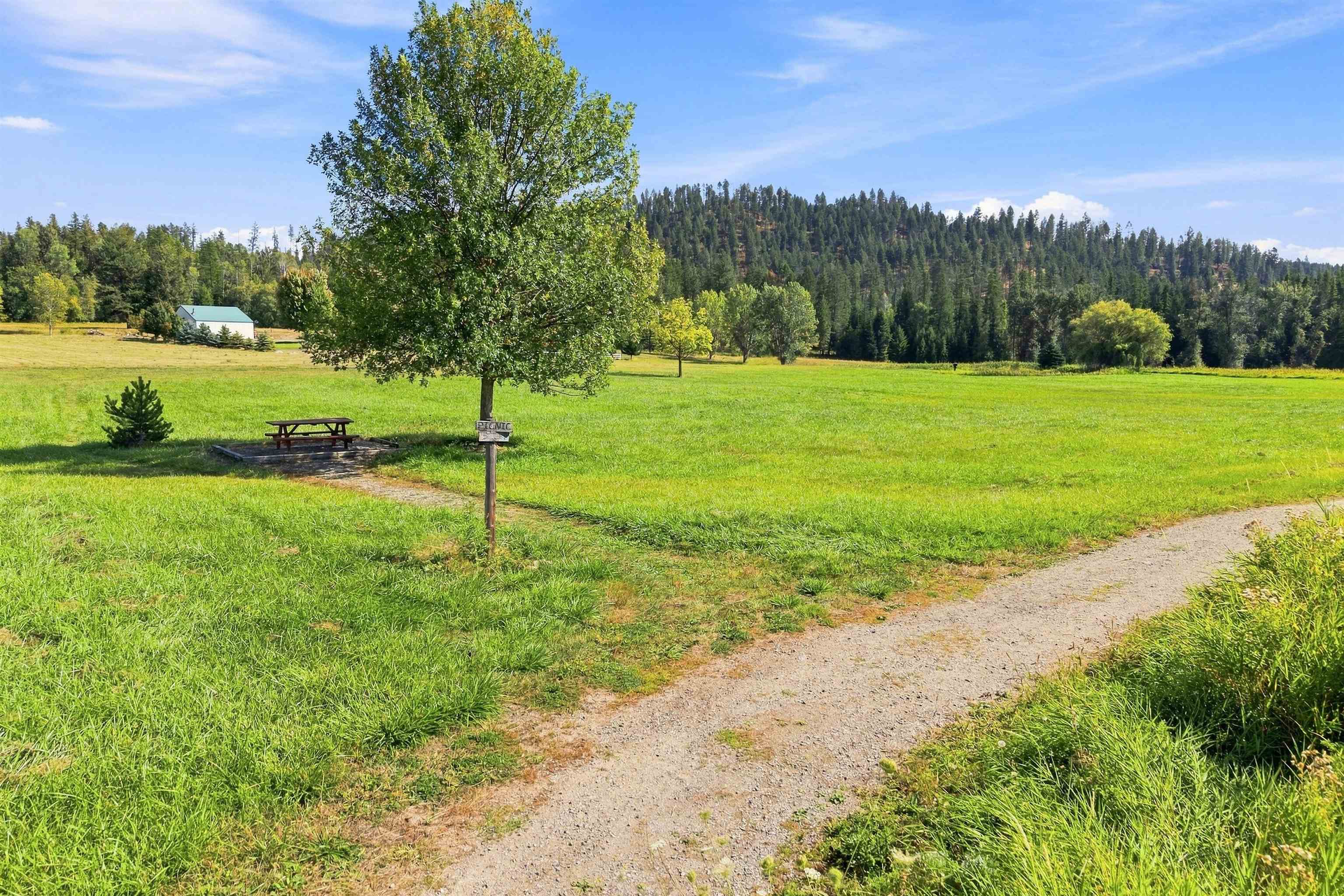 222 C HWY 20 E Hwy - Photo 13