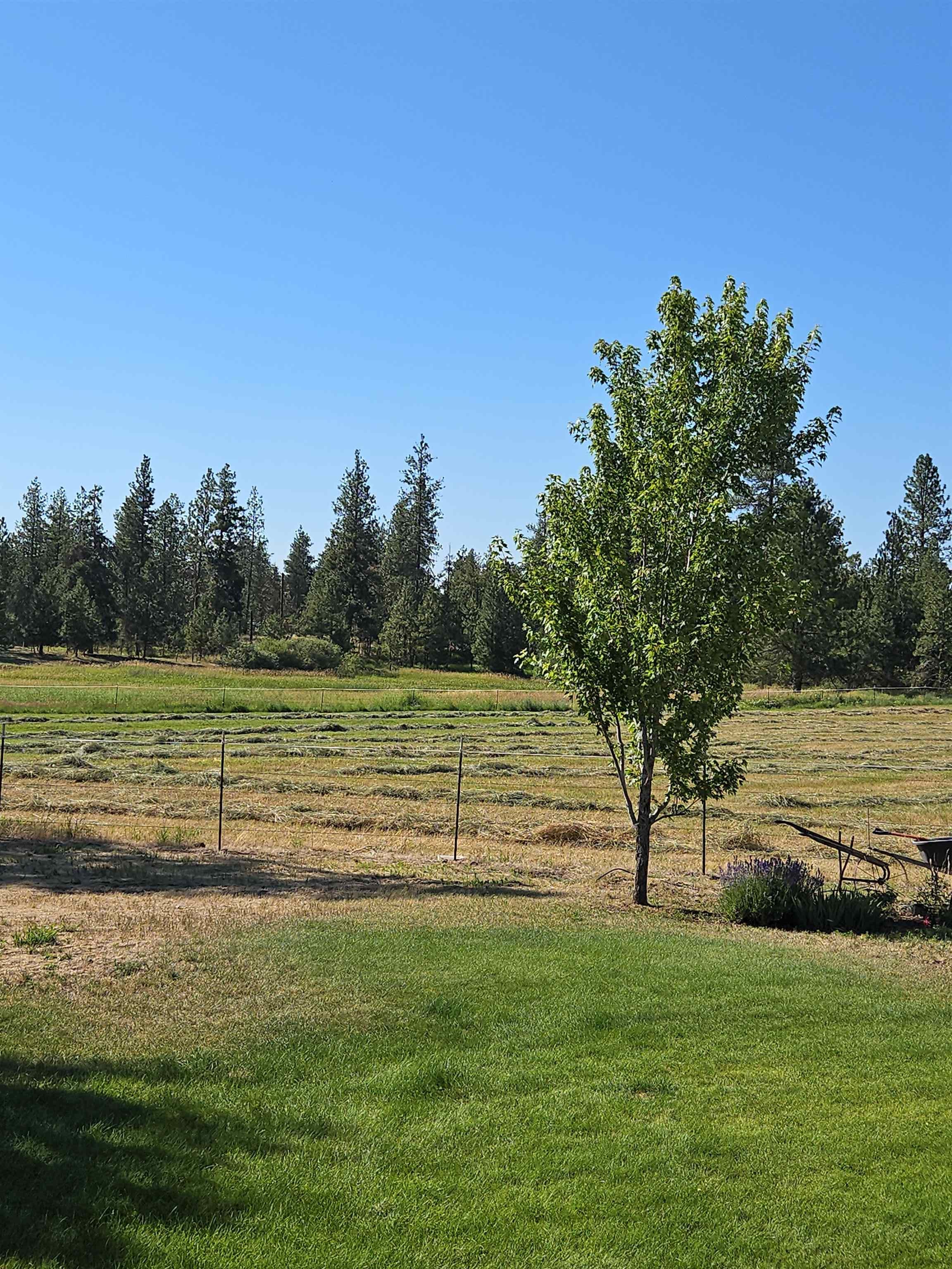 1329 W Paradise Rd Rd - Photo 35