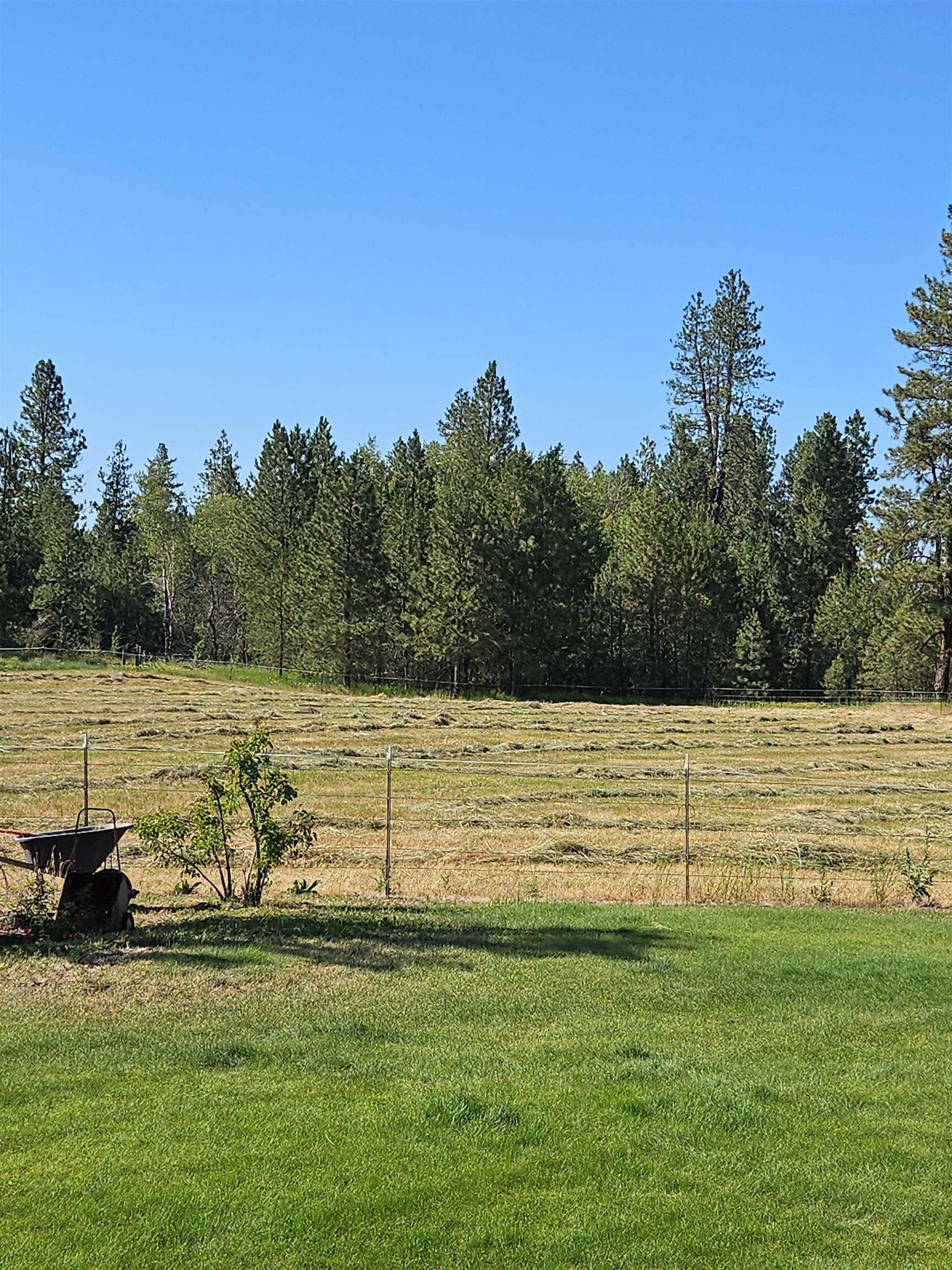 1329 W Paradise Rd Rd - Photo 38