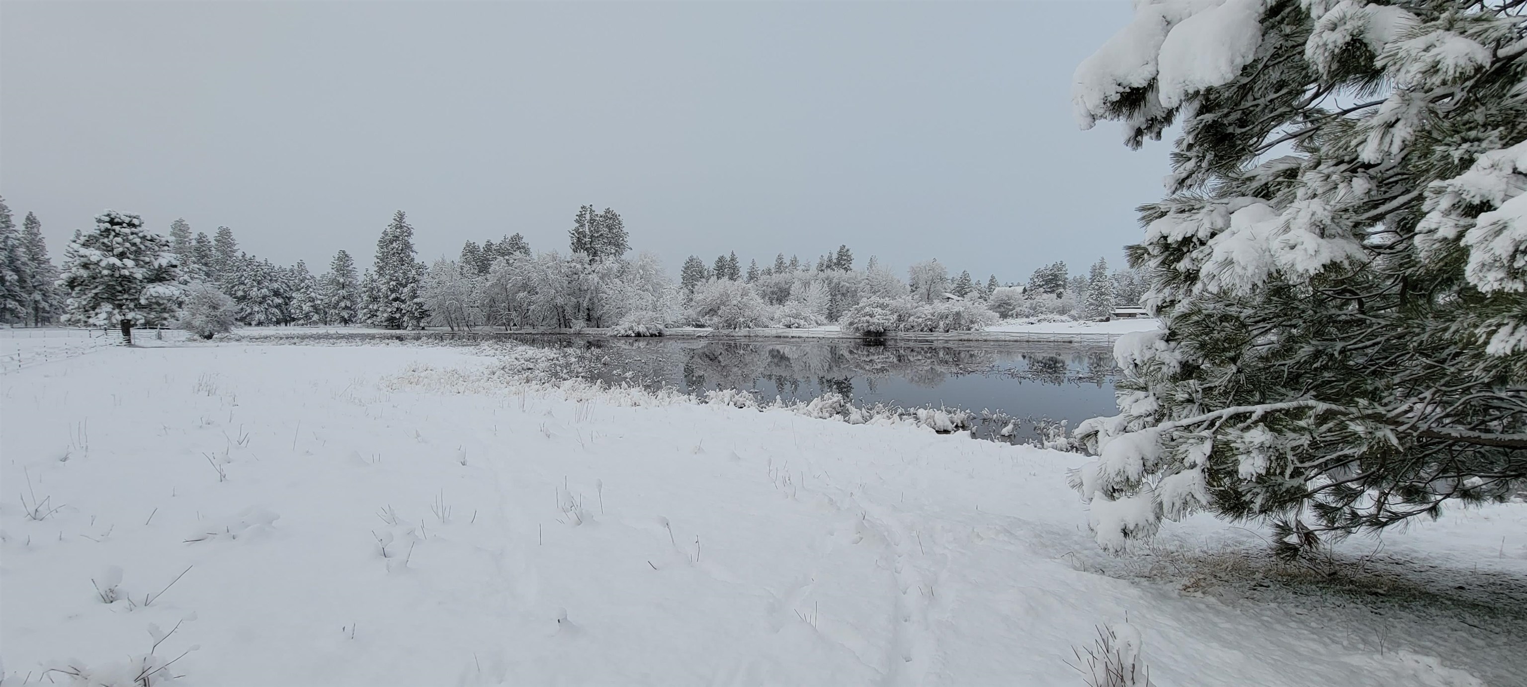 1329 W Paradise Rd Rd - Photo 43