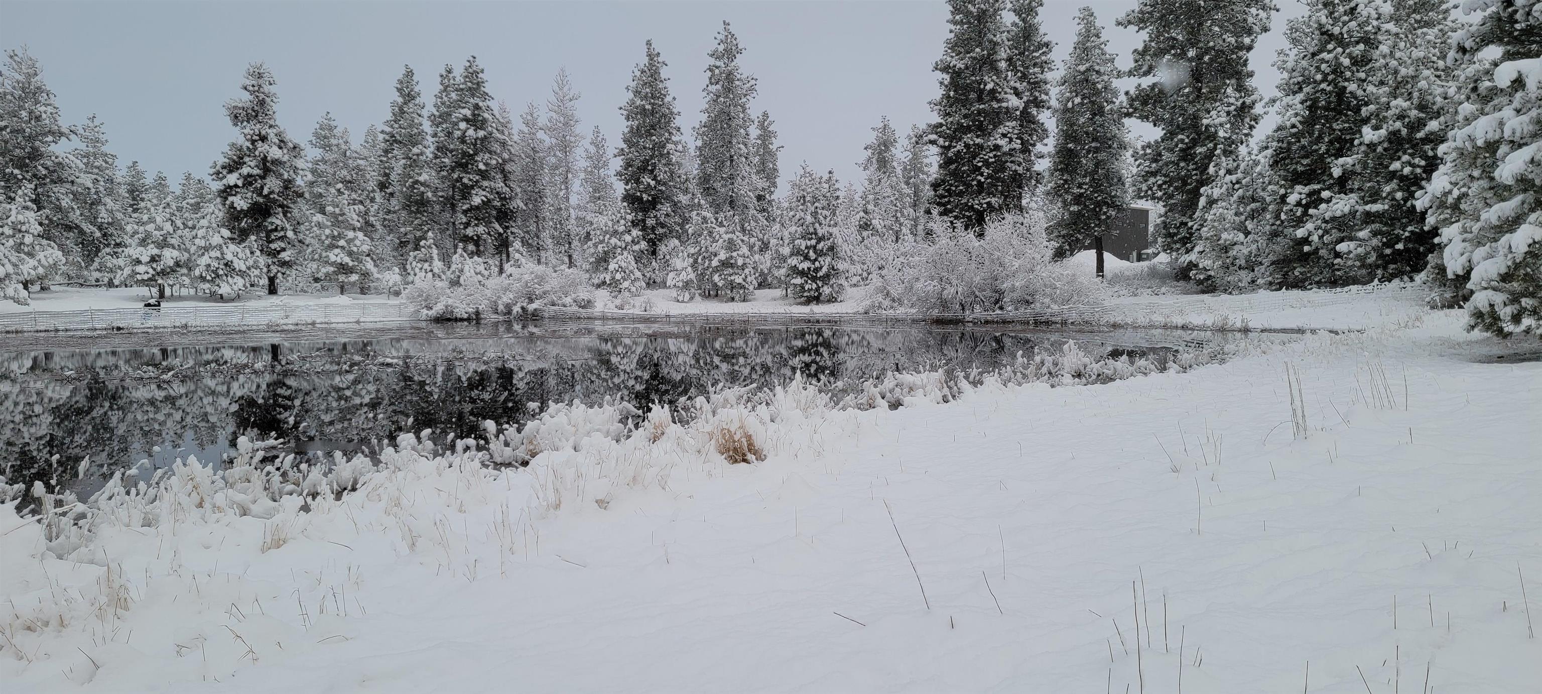 1329 W Paradise Rd Rd - Photo 40