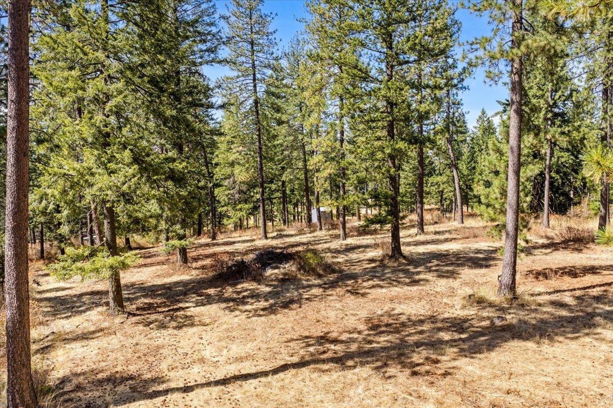 23205 N MADISON Rd - Photo 41
