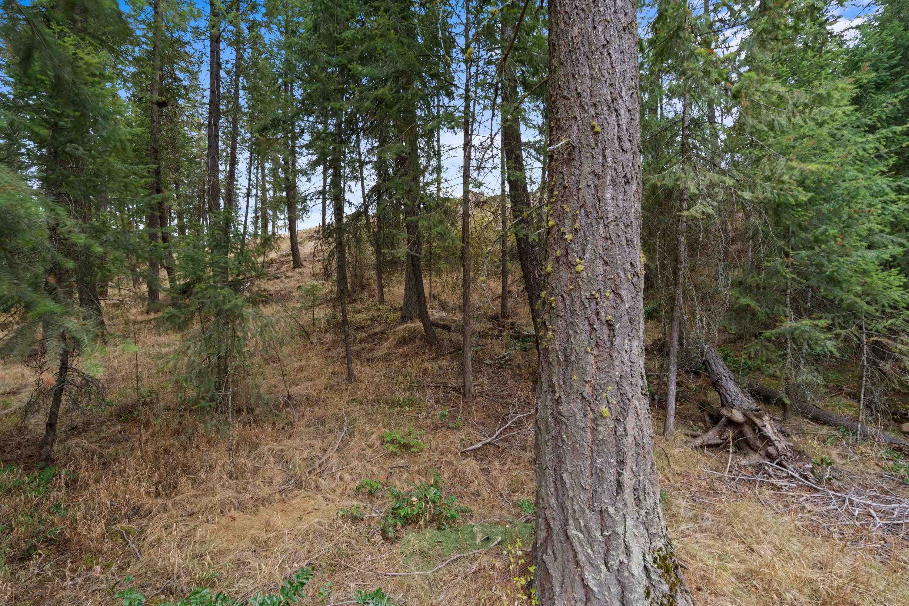 1106 E Silver Pine Rd - Photo 38