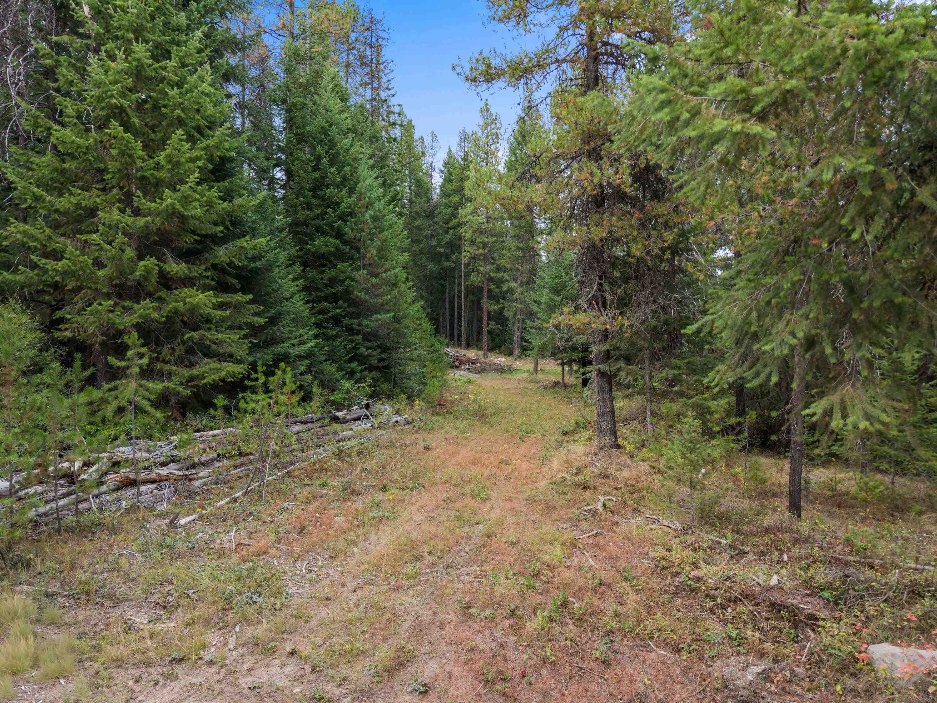 576 Buck Creek Rd - Photo 11