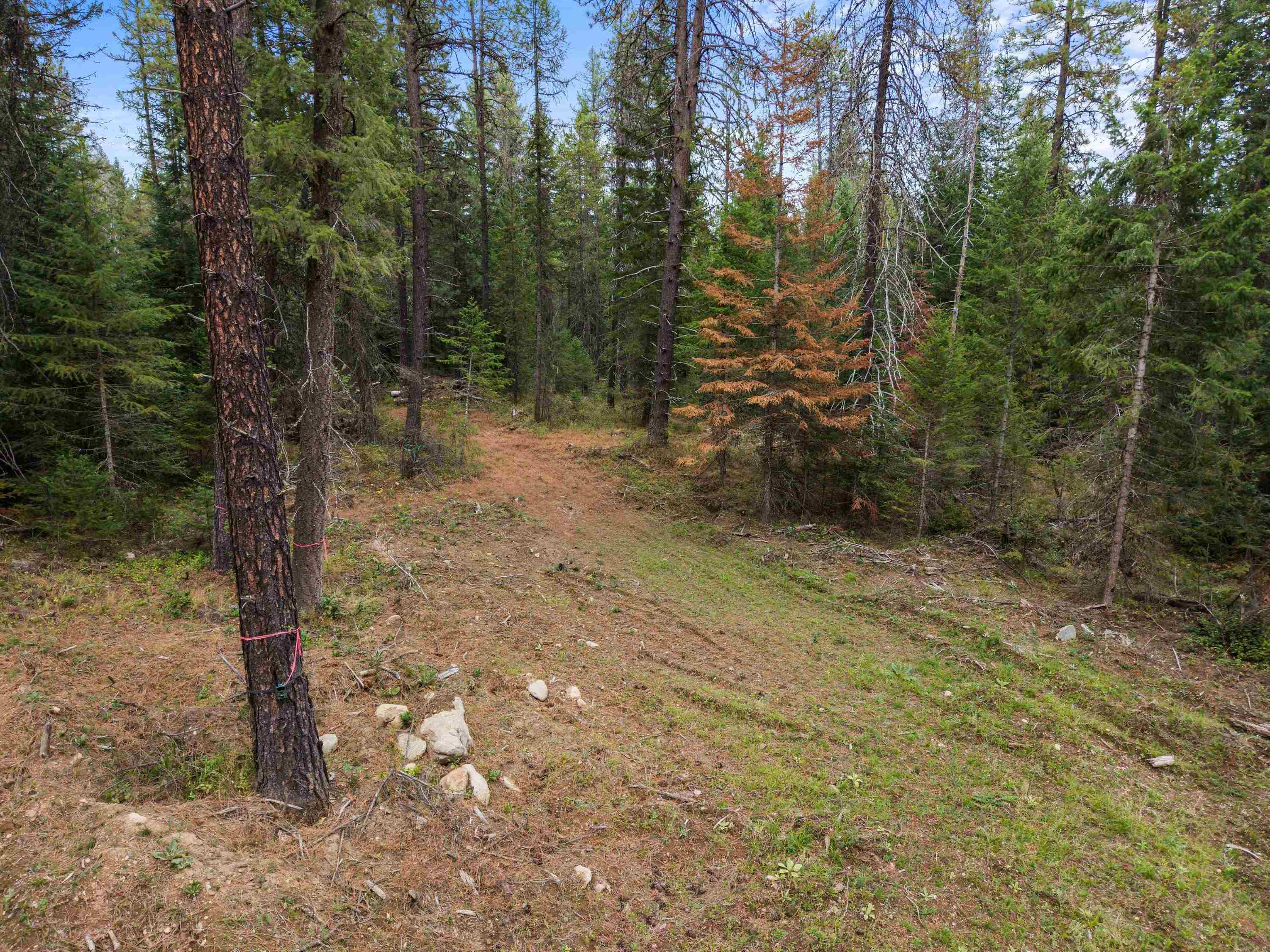 576 Buck Creek Rd - Photo 13