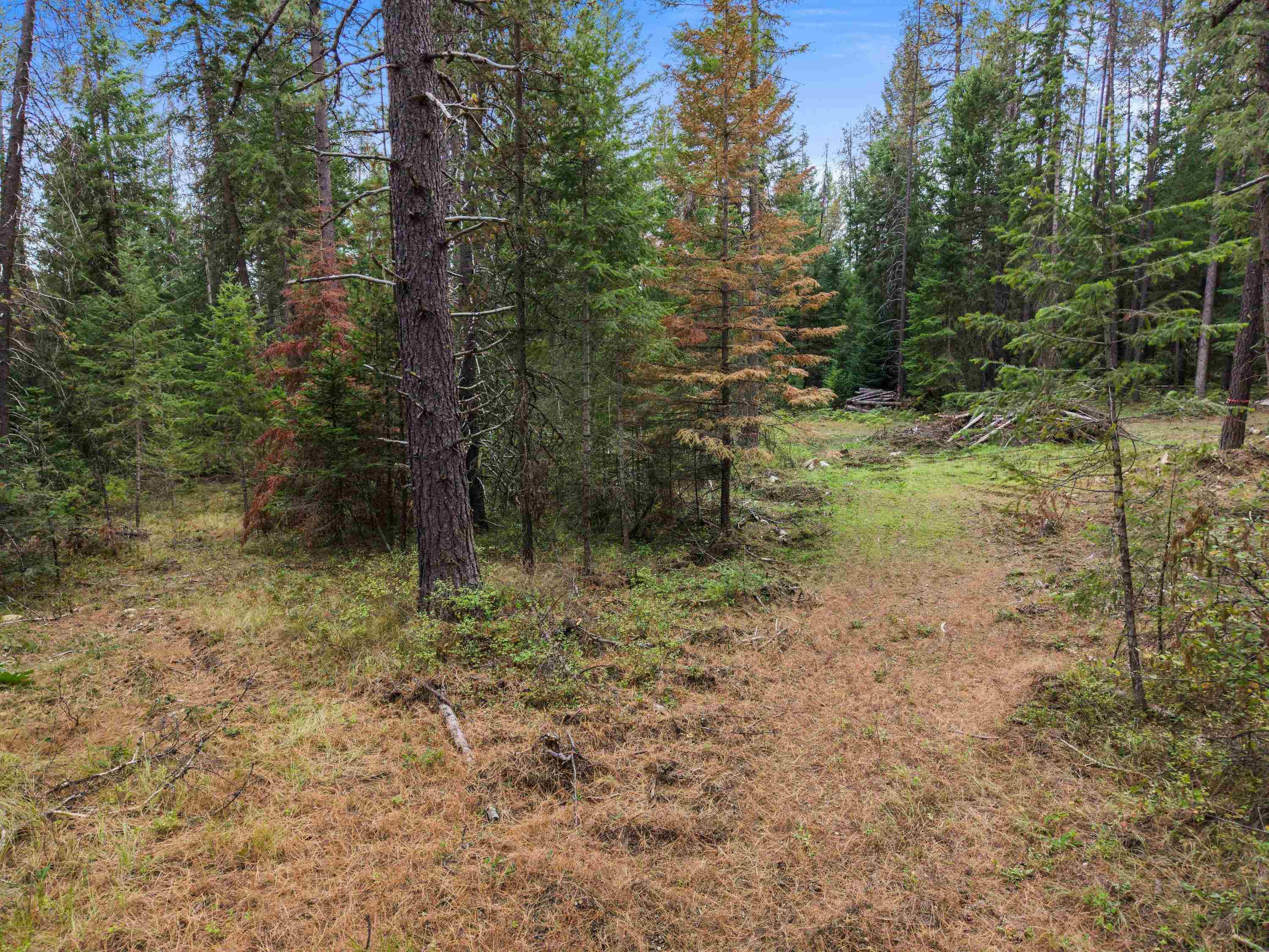 576 Buck Creek Rd - Photo 14