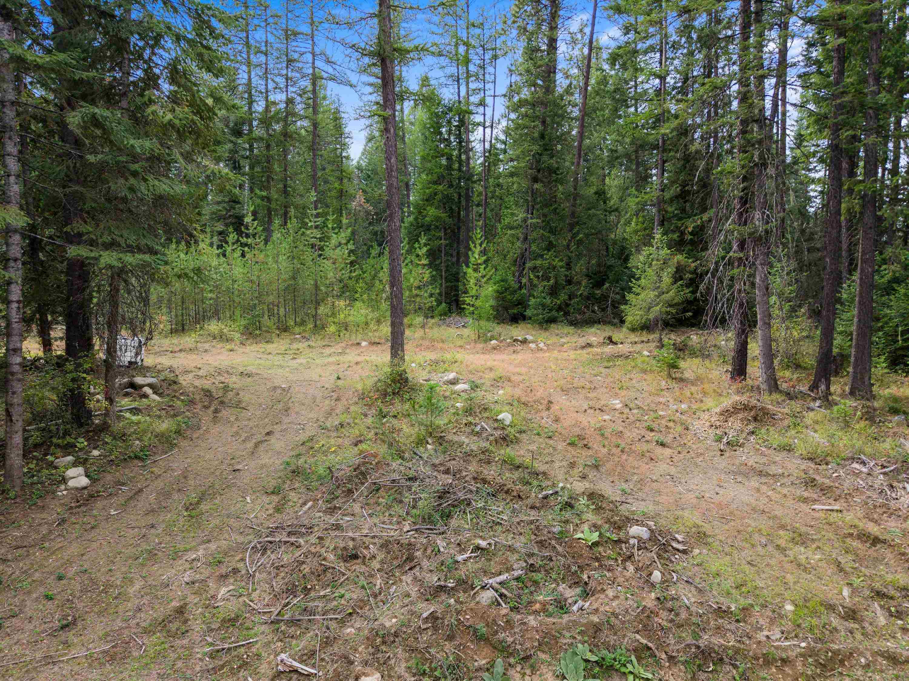 576 Buck Creek Rd - Photo 15