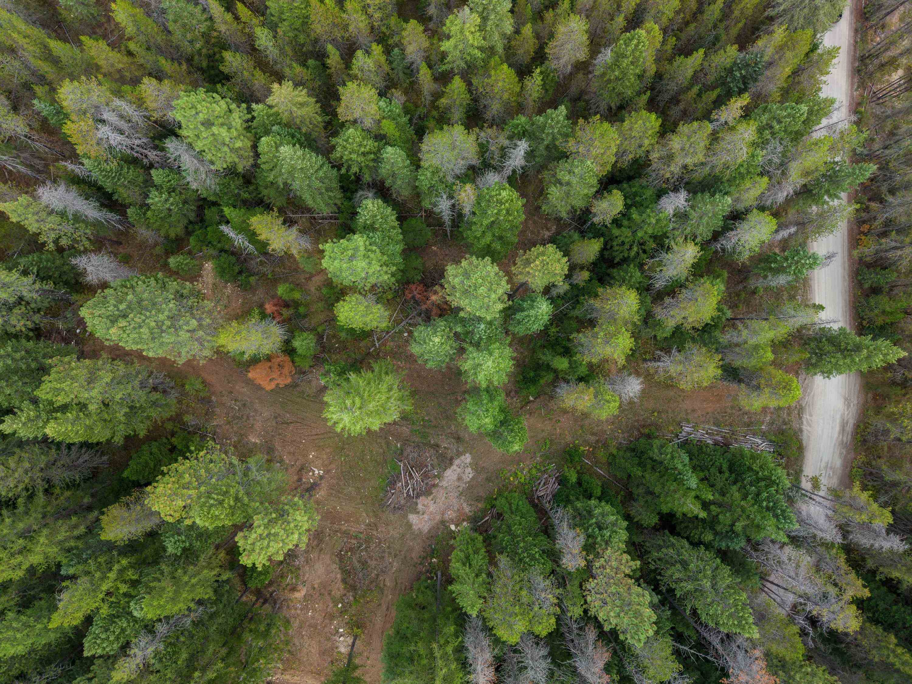 576 Buck Creek Rd - Photo 18
