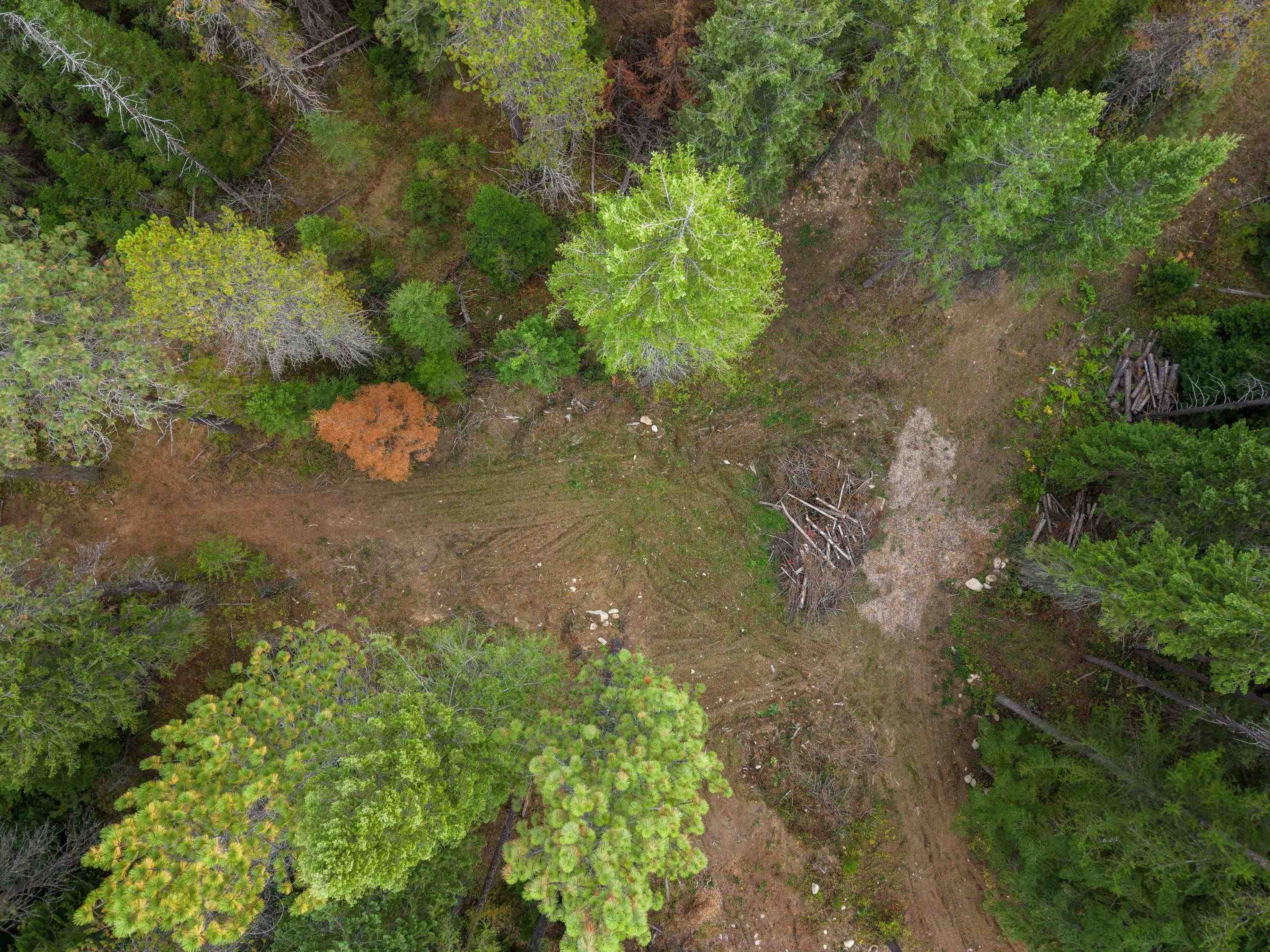 576 Buck Creek Rd - Photo 19
