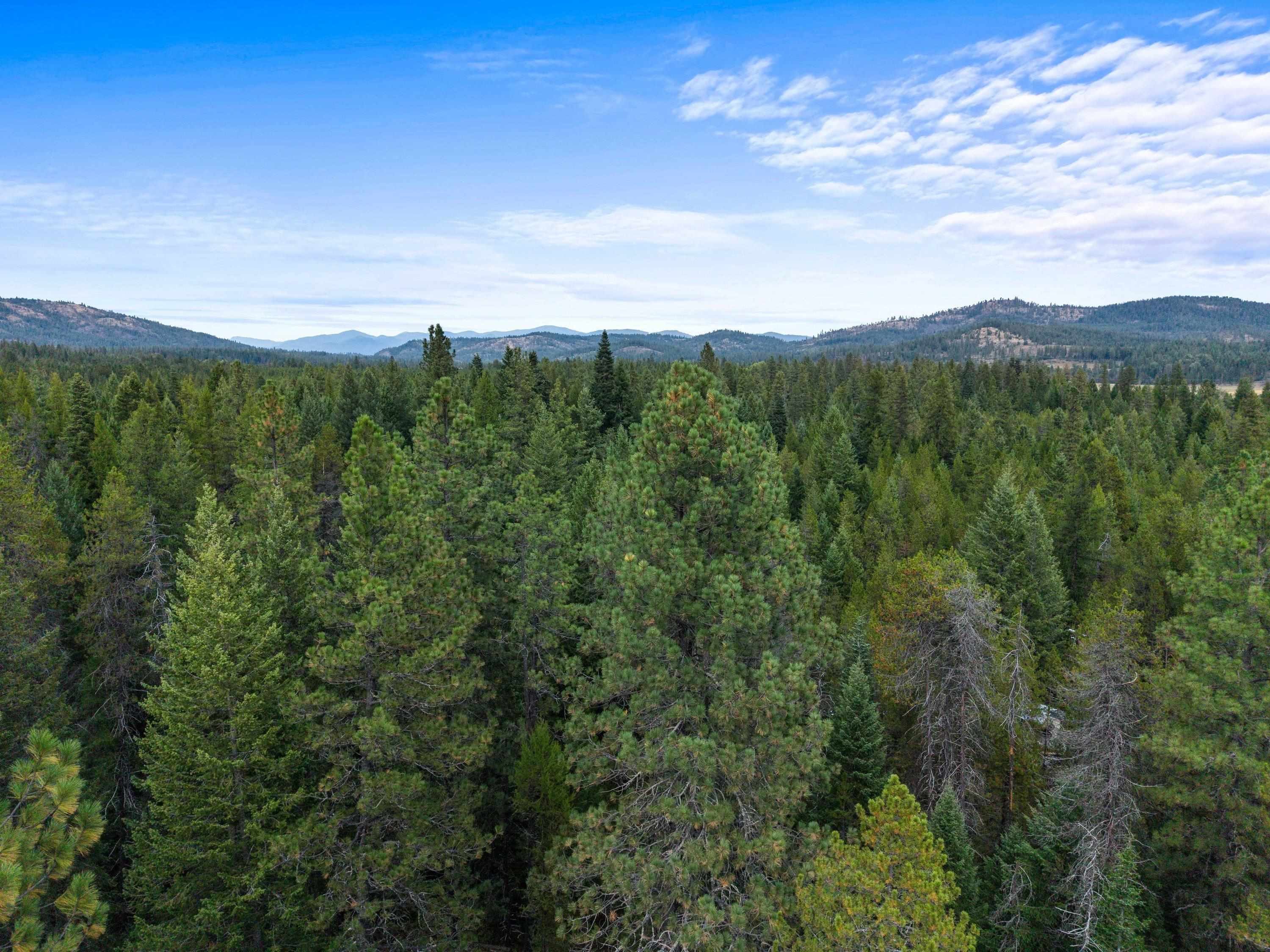 576 Buck Creek Rd - Photo 20