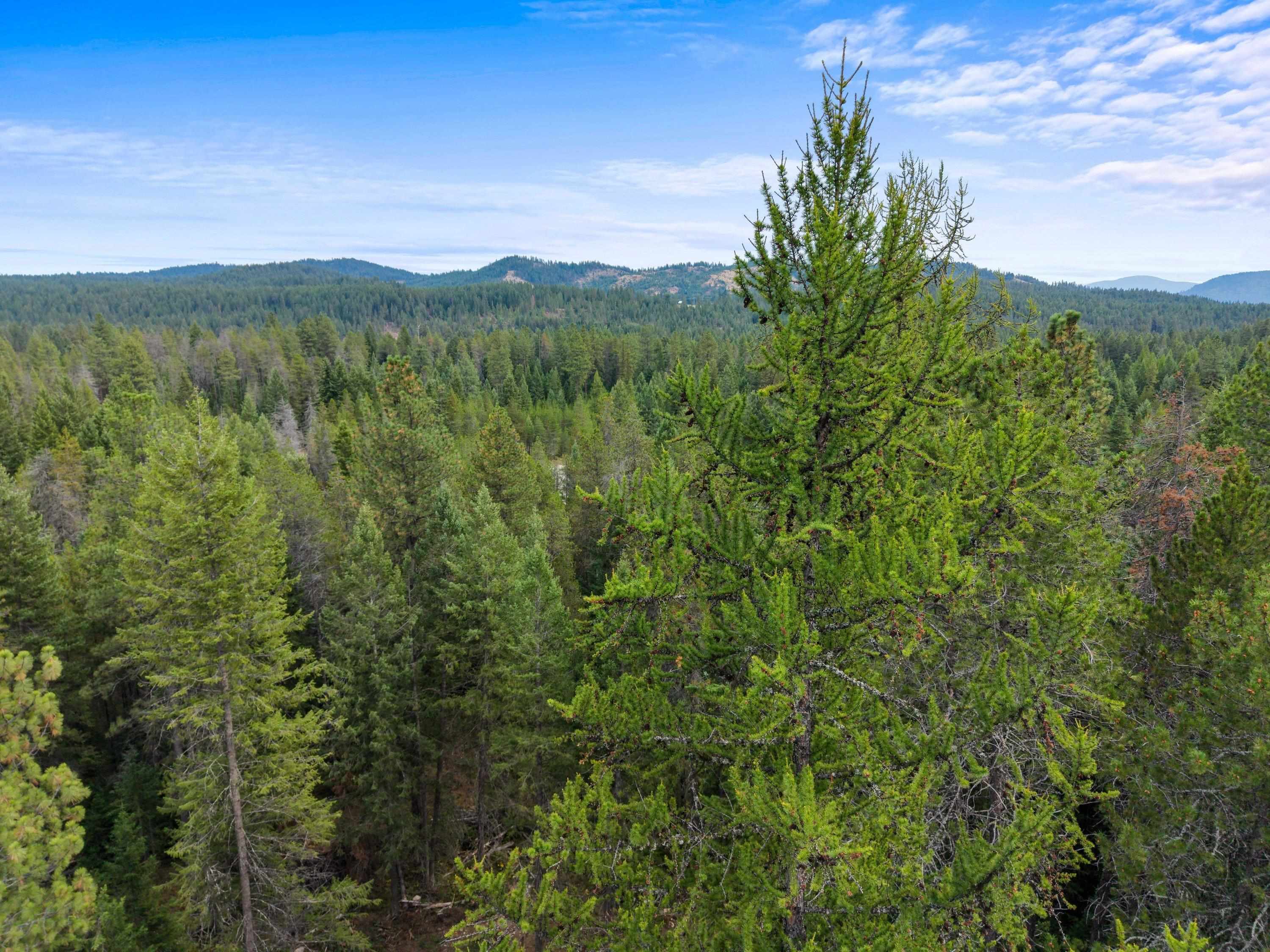 576 Buck Creek Rd - Photo 21