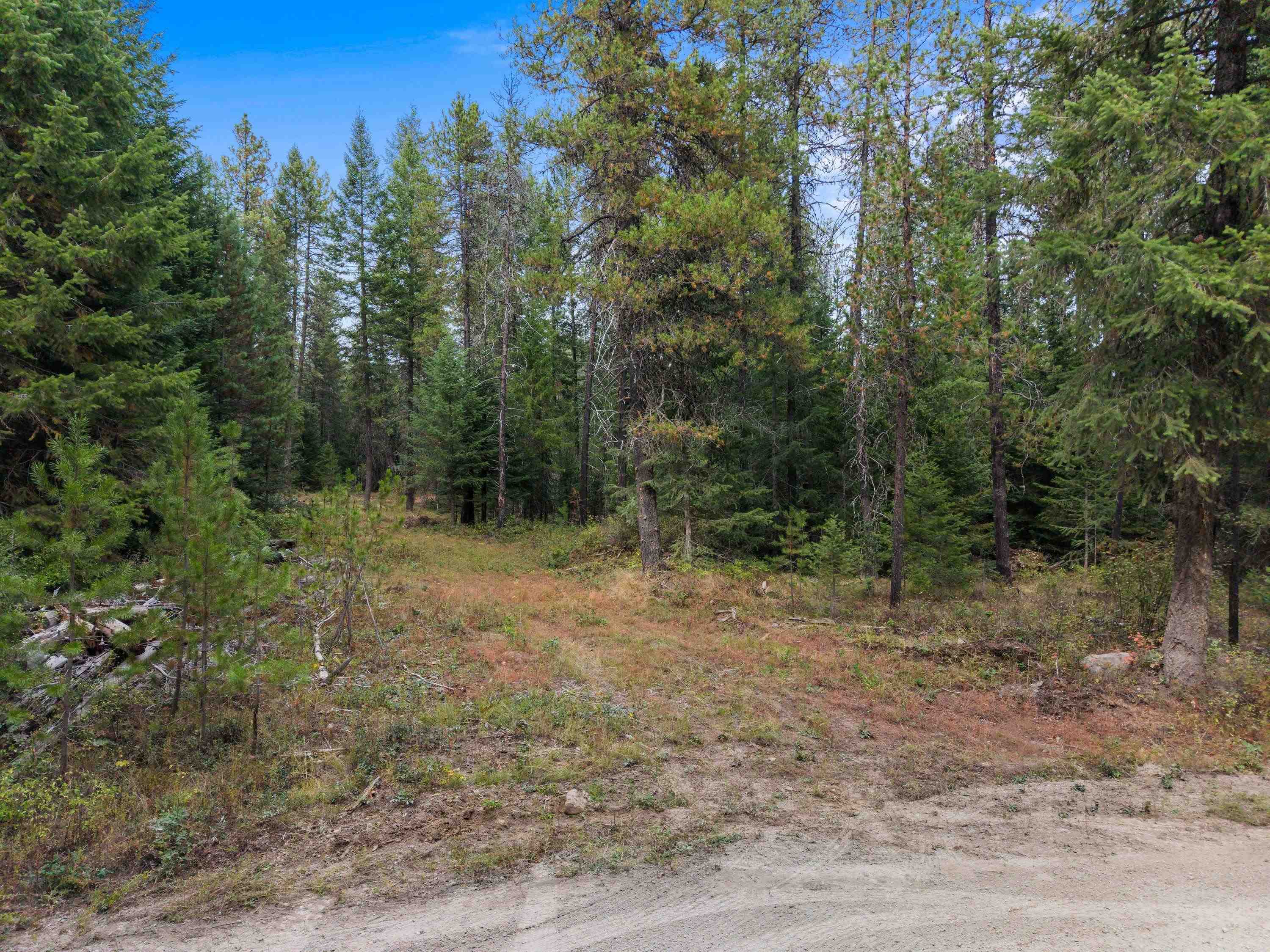 576 Buck Creek Rd - Photo 22