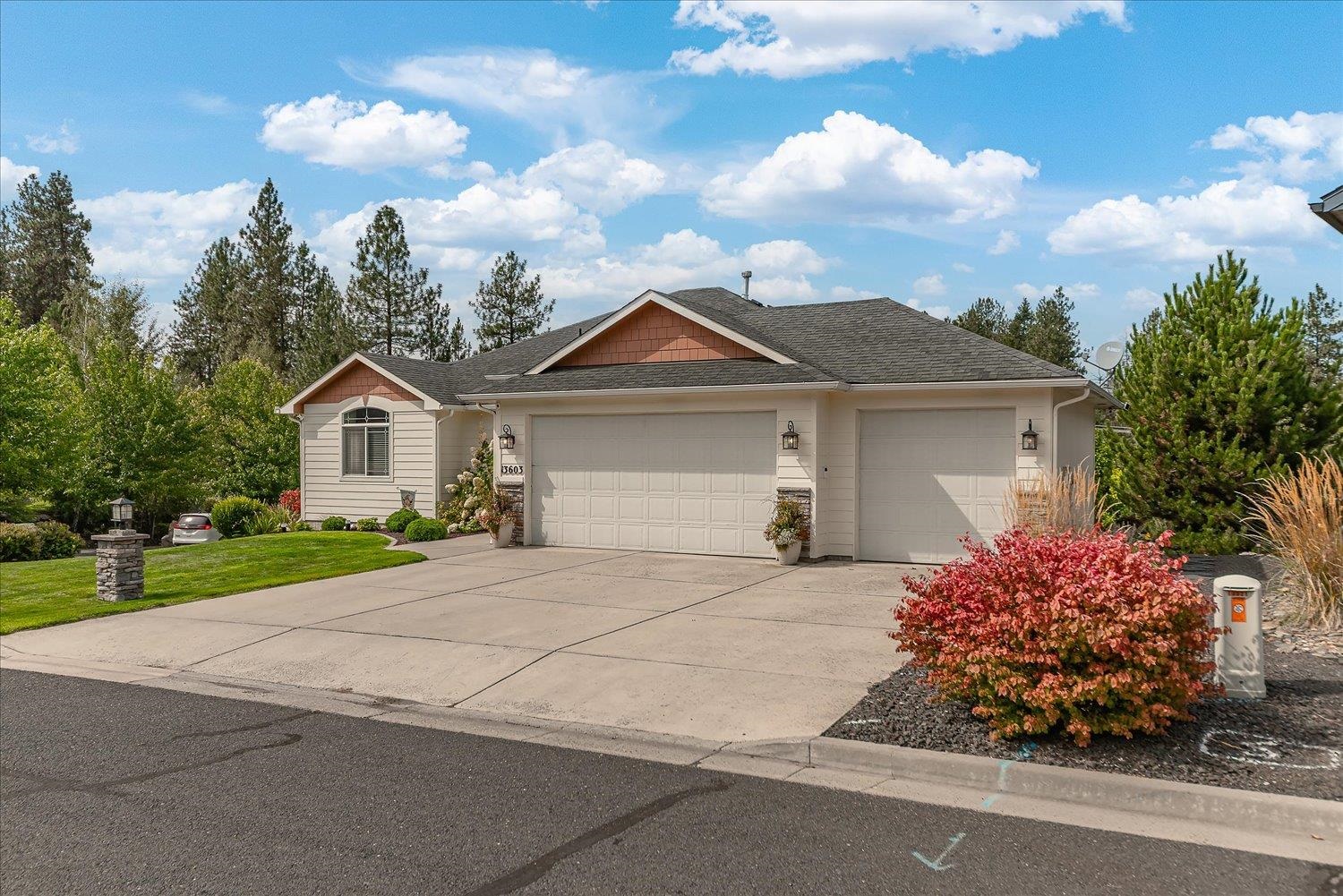 13603 N Mayfair Ln - Photo 3