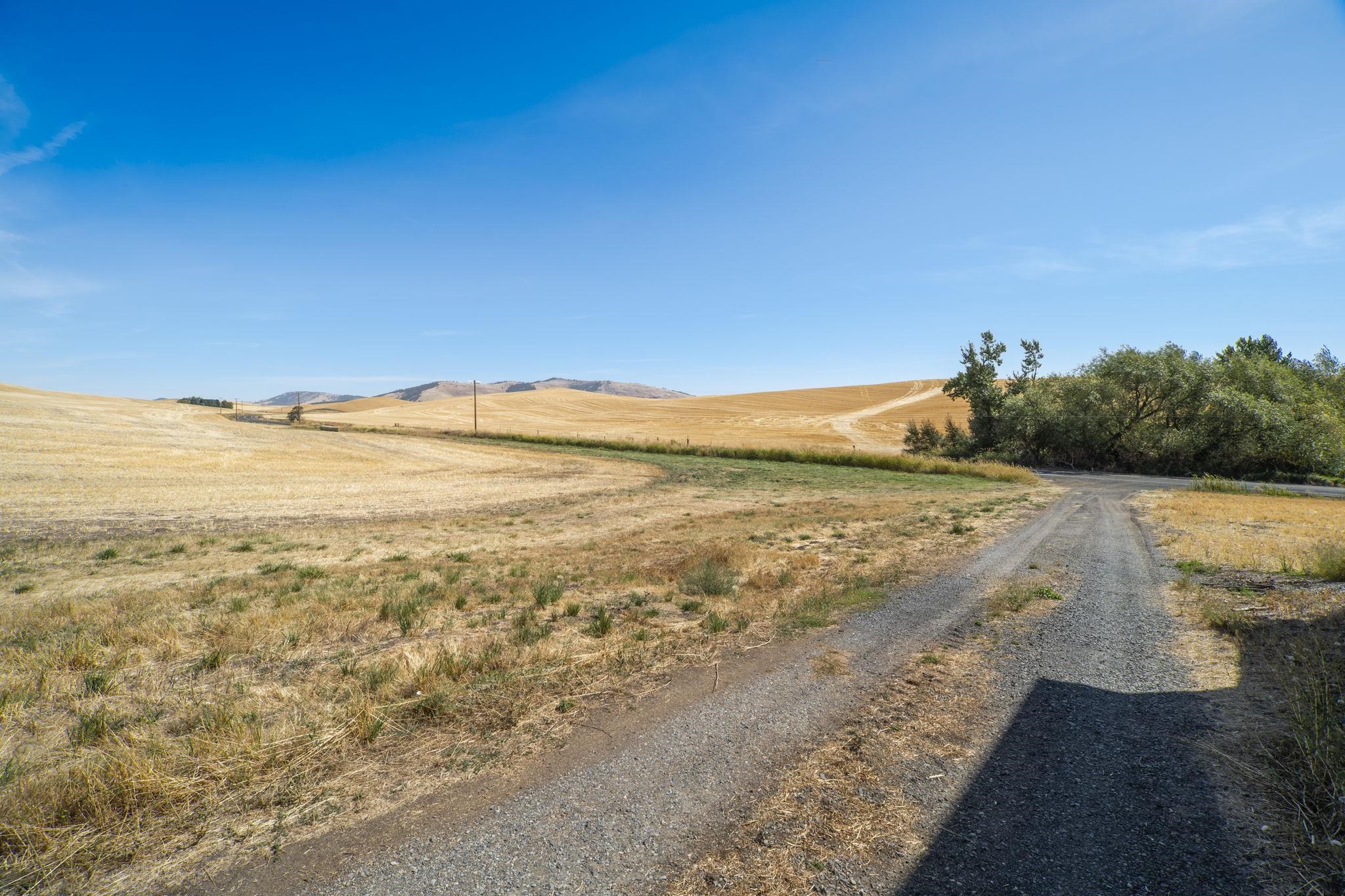 3.8 Acres Fairbanks Rd - Photo 31