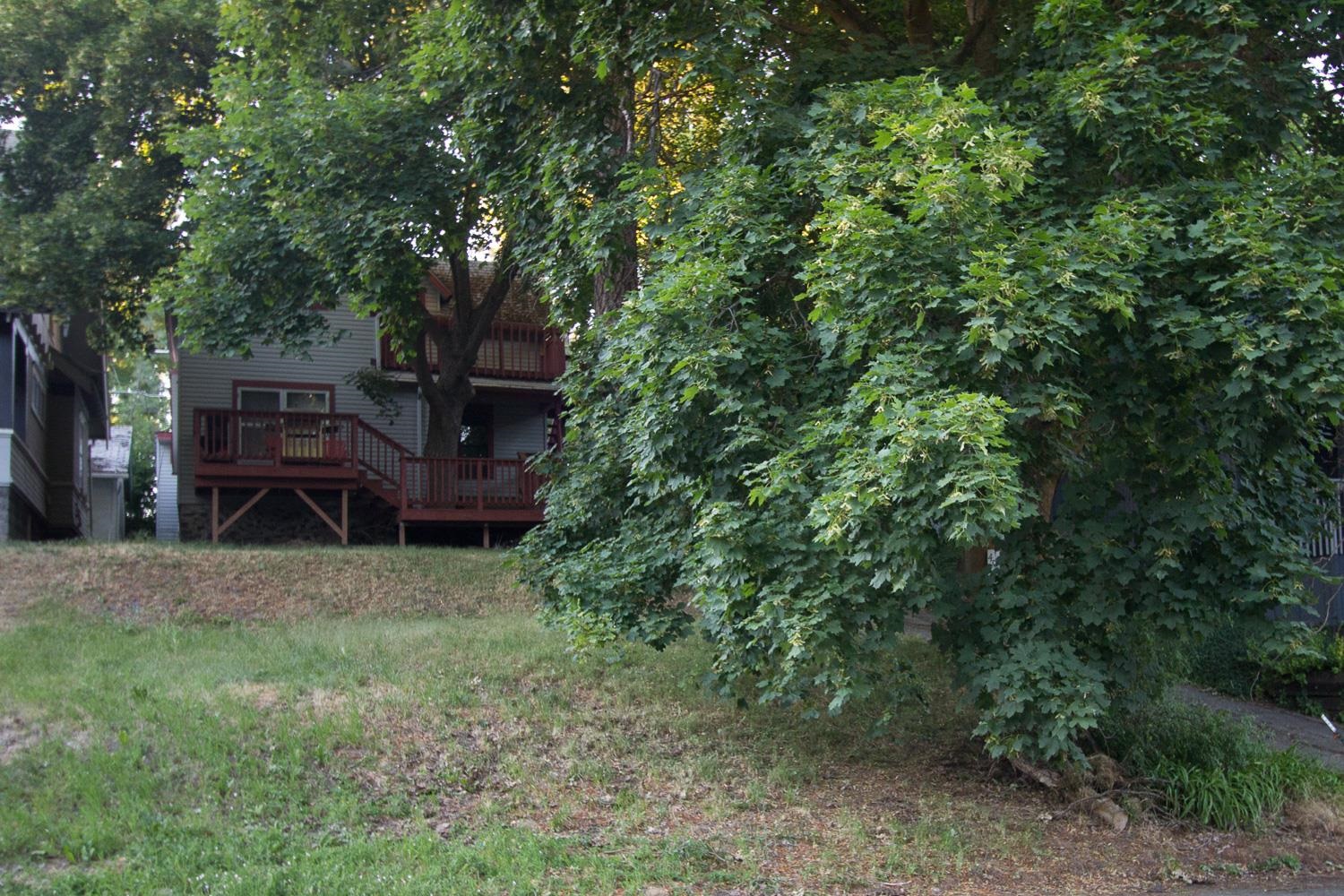 407 E 11th Ave - Photo 29