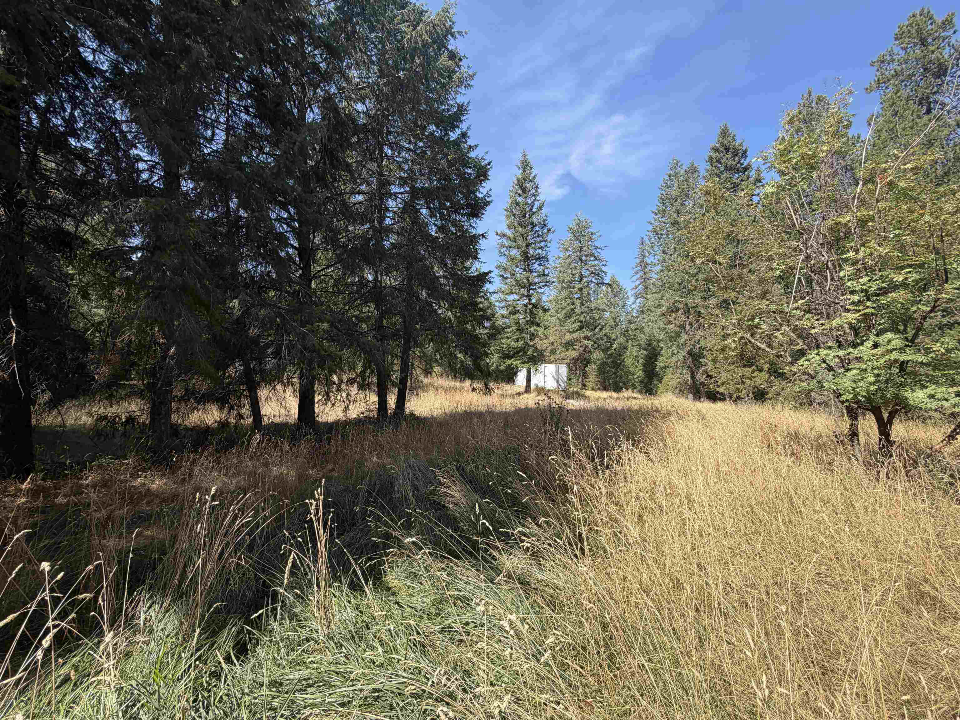 62 Pine Hill Rd - Photo 13