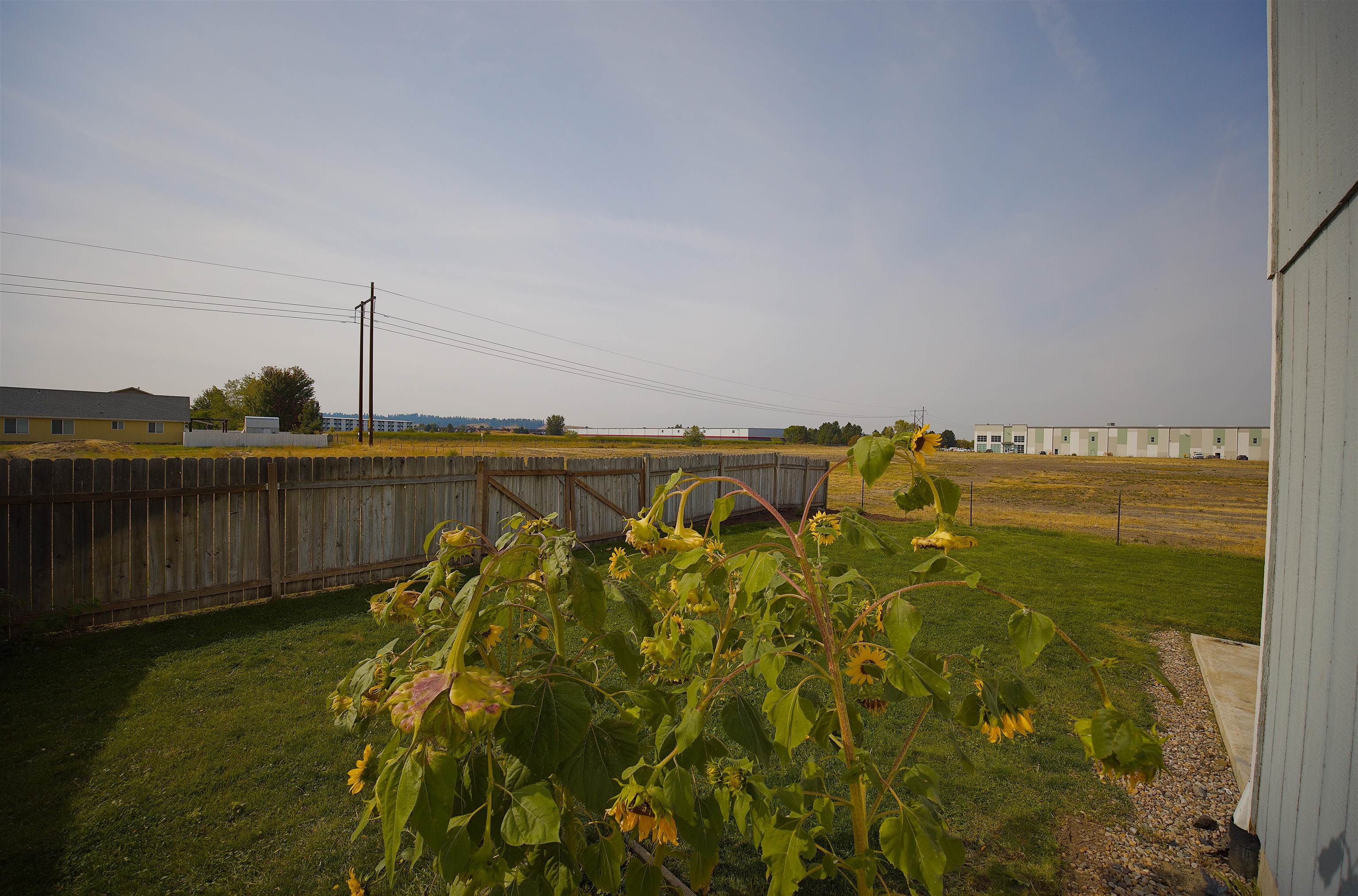 6816 S Lucas St - Photo 35