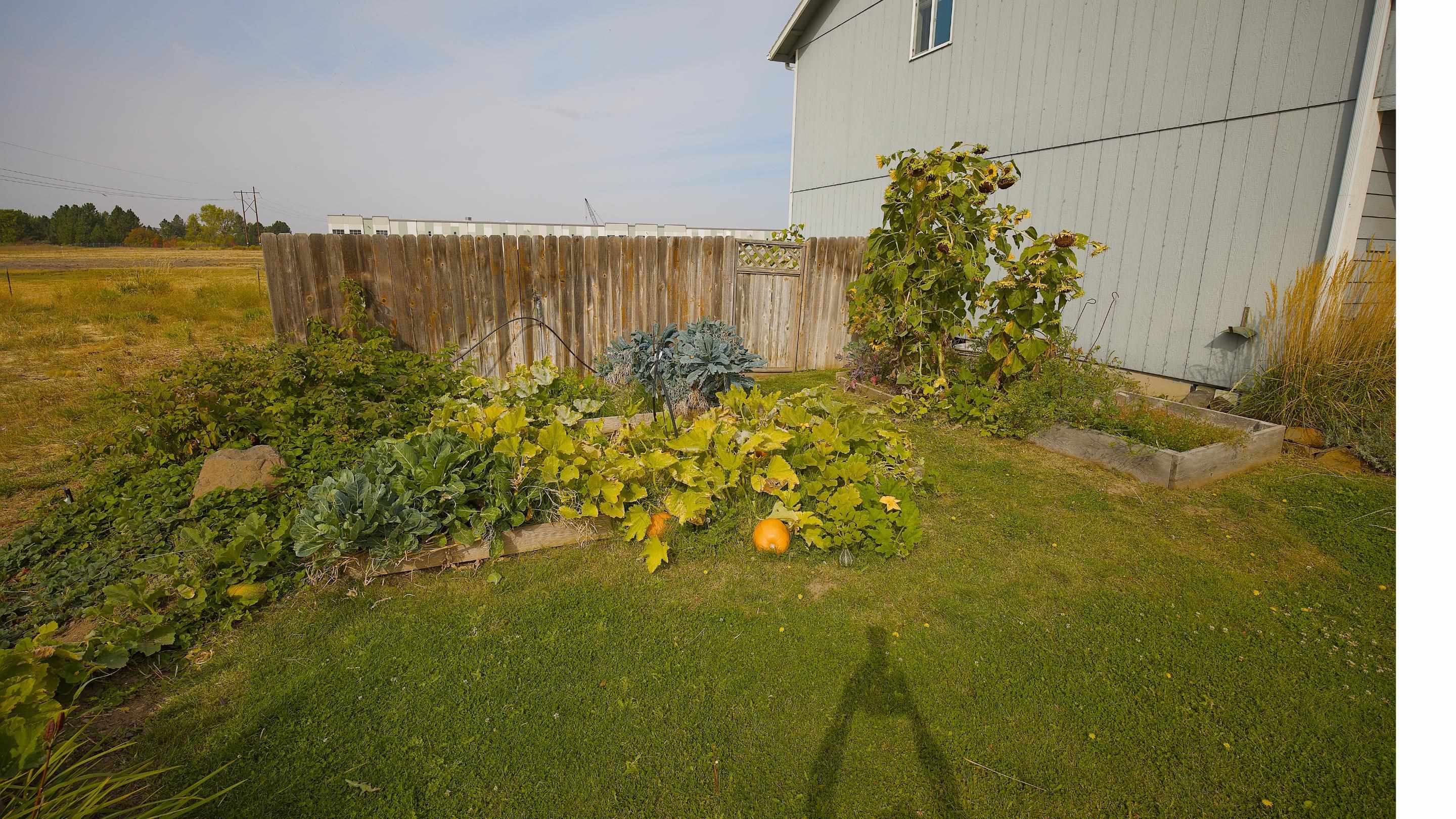 6816 S Lucas St - Photo 30