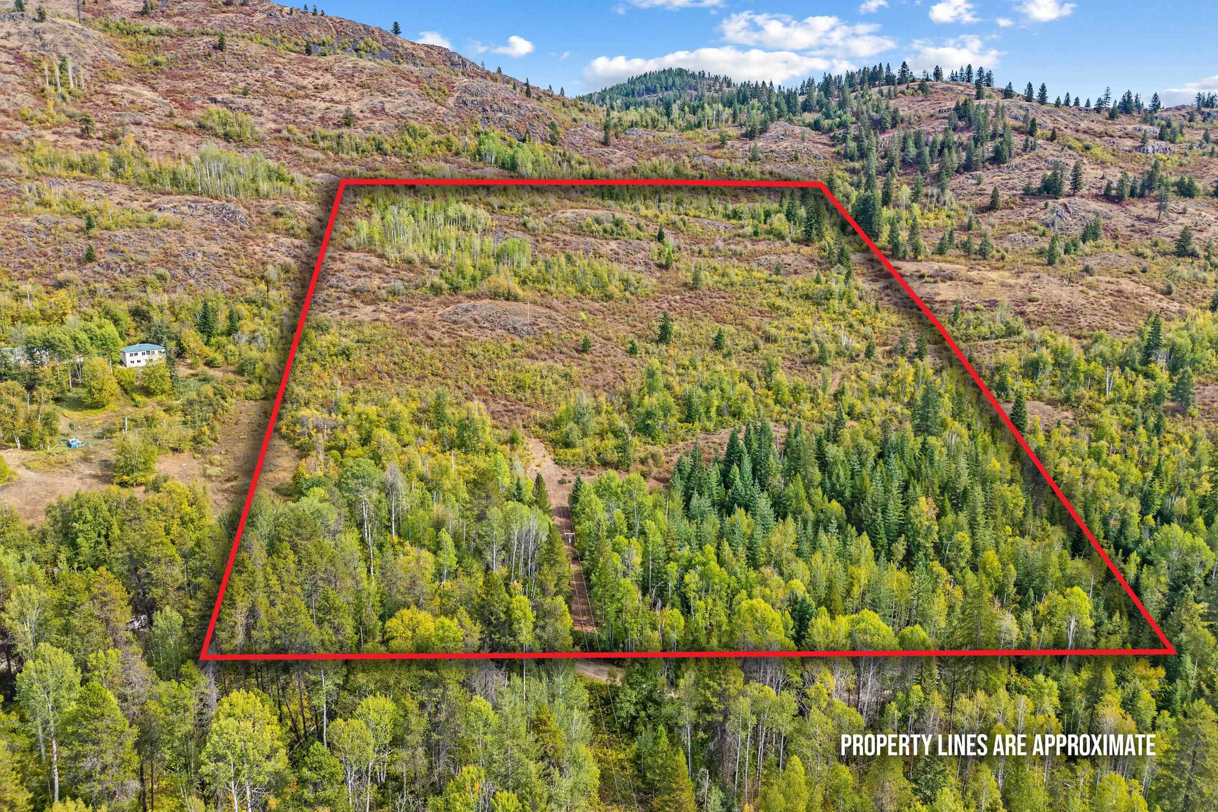 220 Catamount Ridge Ln - Photo 5