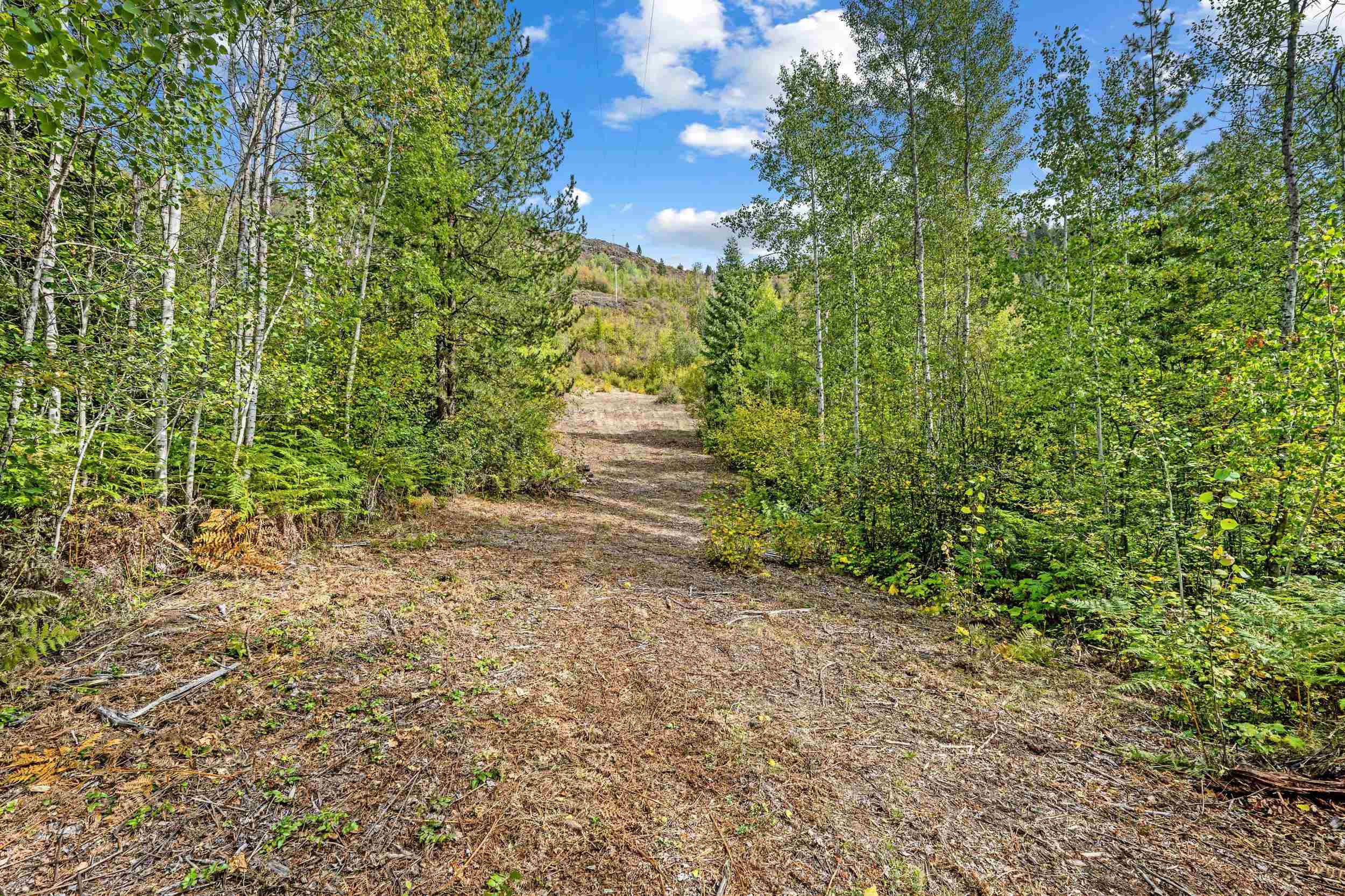 220 Catamount Ridge Ln - Photo 8