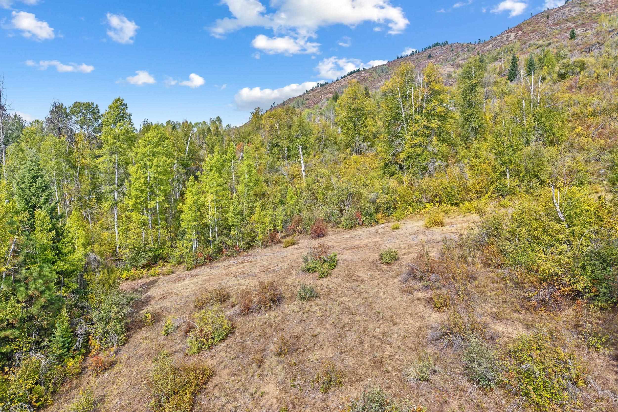 220 Catamount Ridge Ln - Photo 12