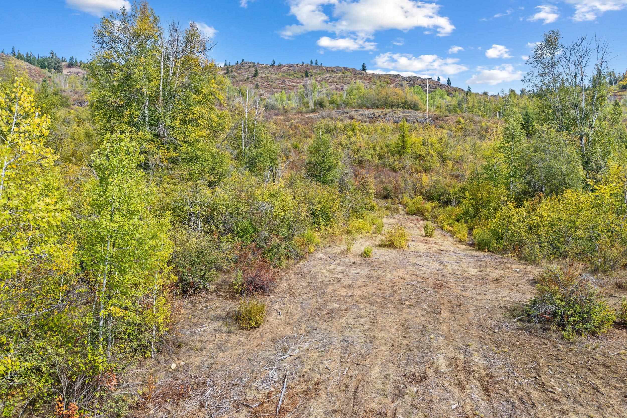 220 Catamount Ridge Ln - Photo 13