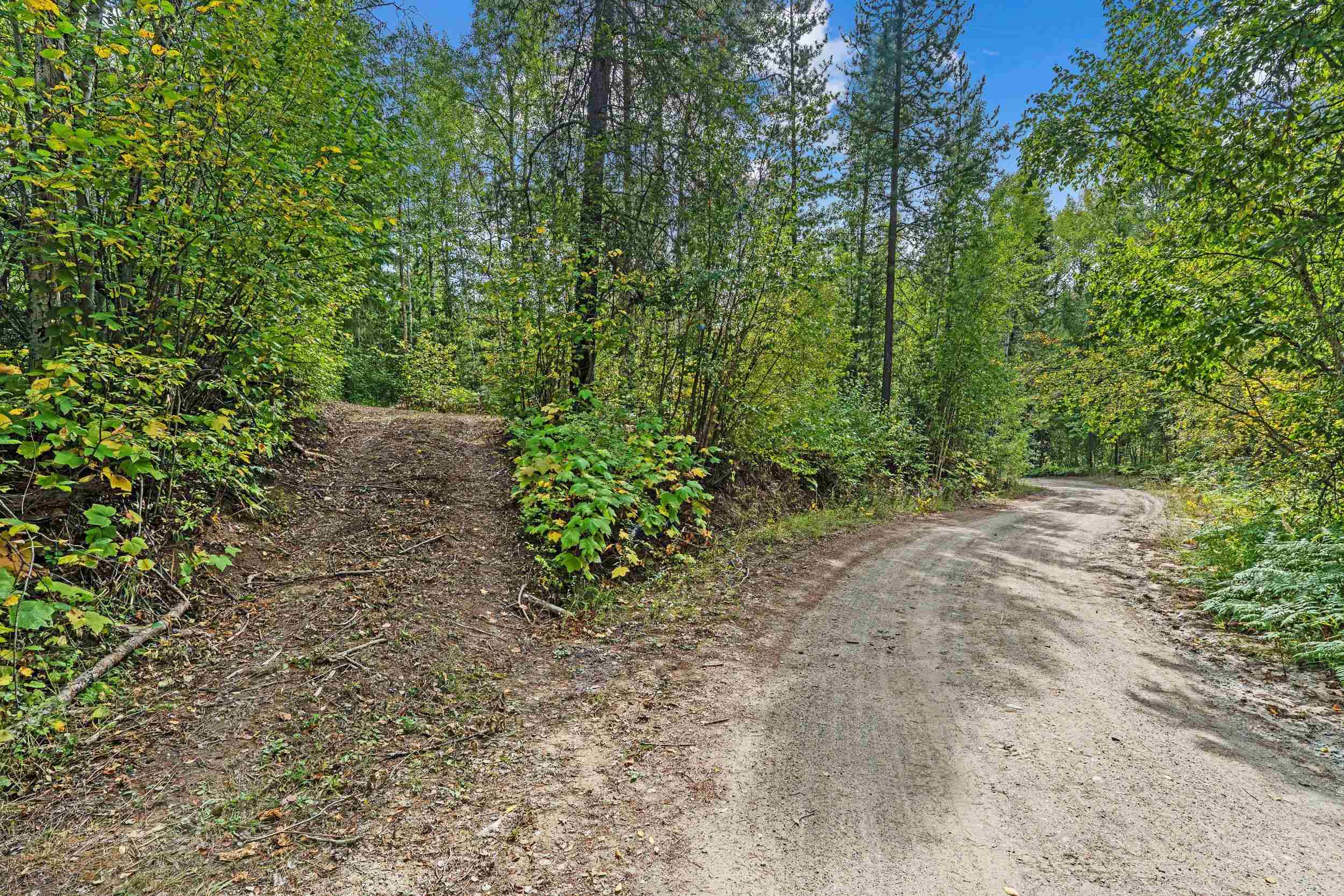220 Catamount Ridge Ln - Photo 15