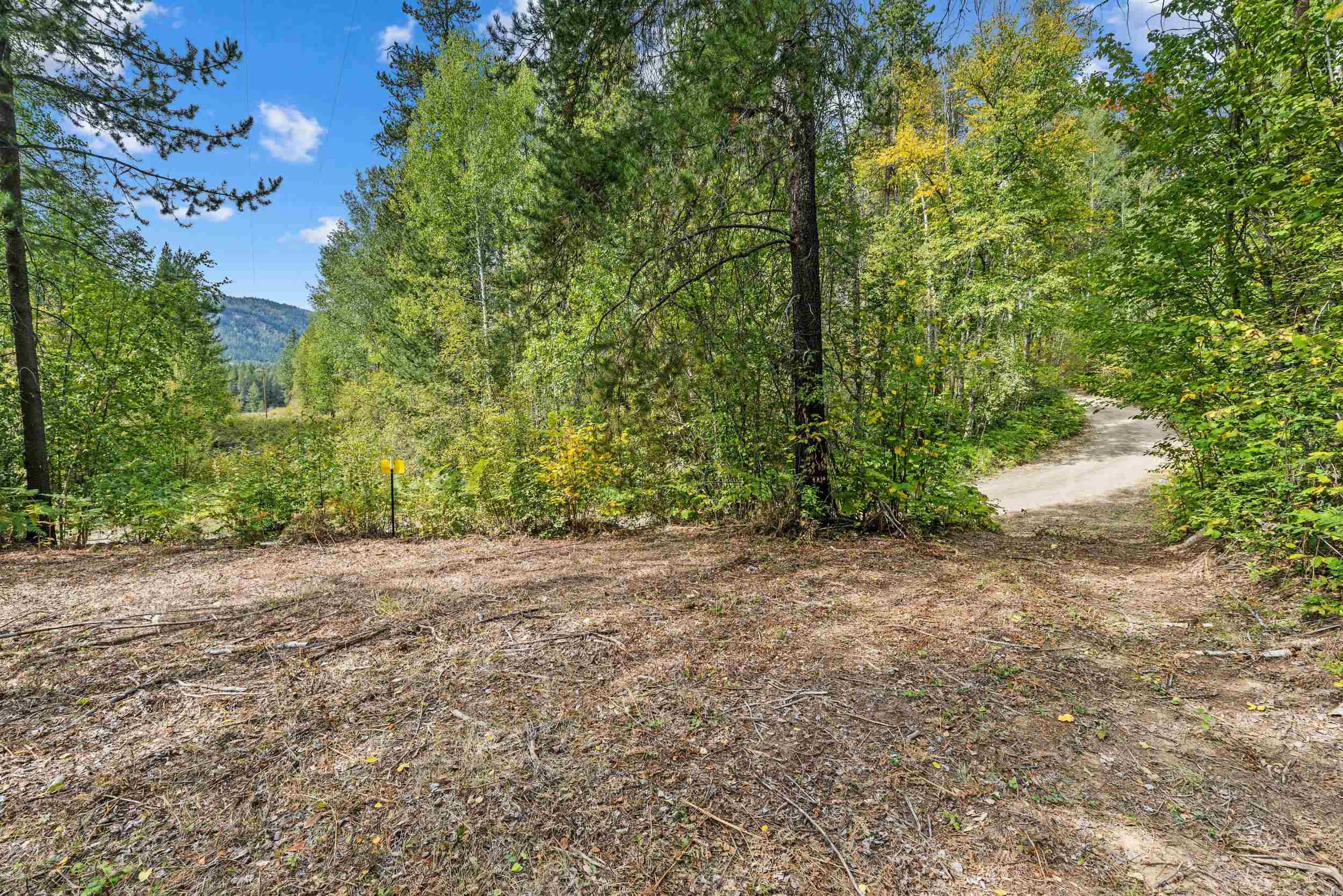 220 Catamount Ridge Ln - Photo 16