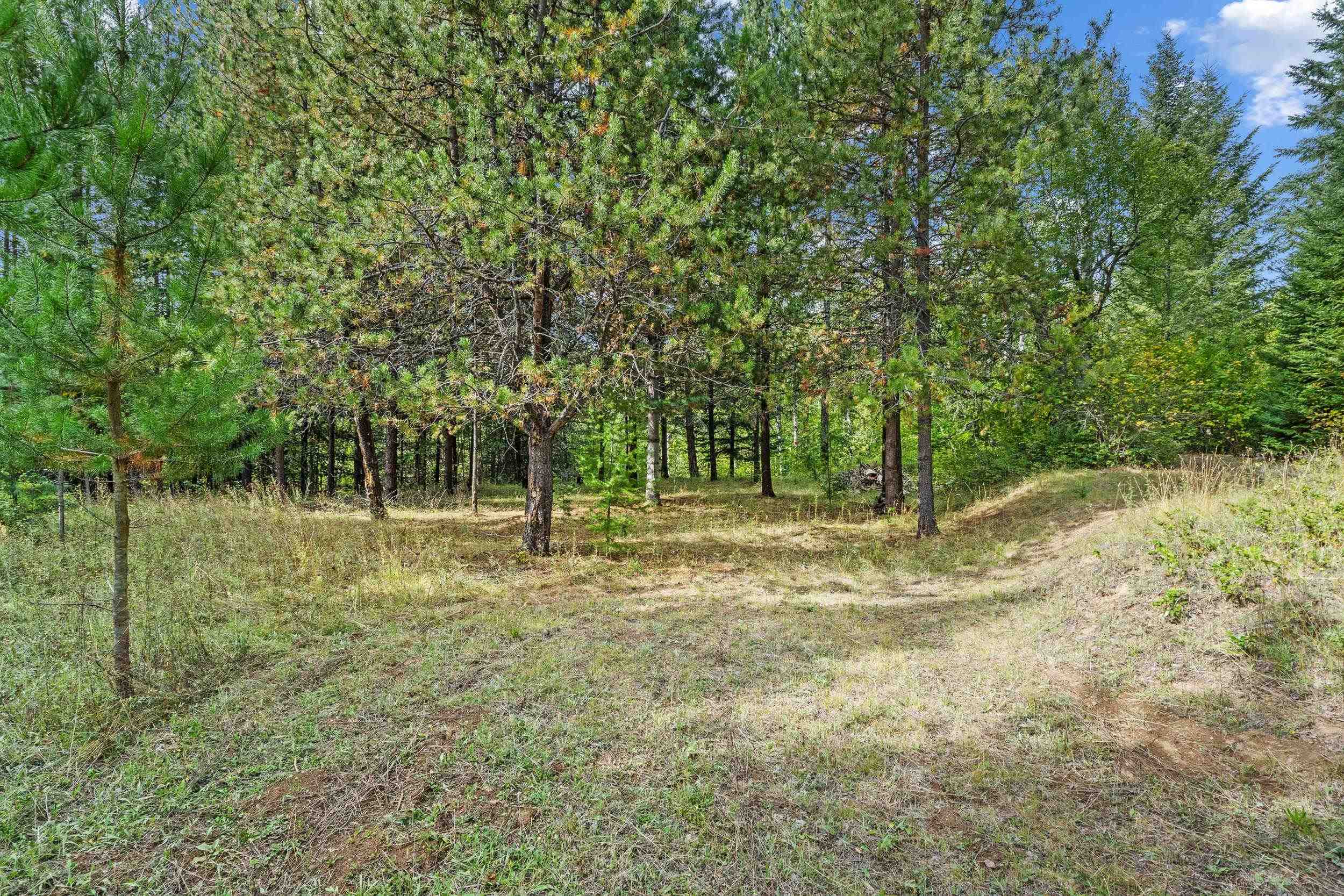 220 Catamount Ridge Ln - Photo 20