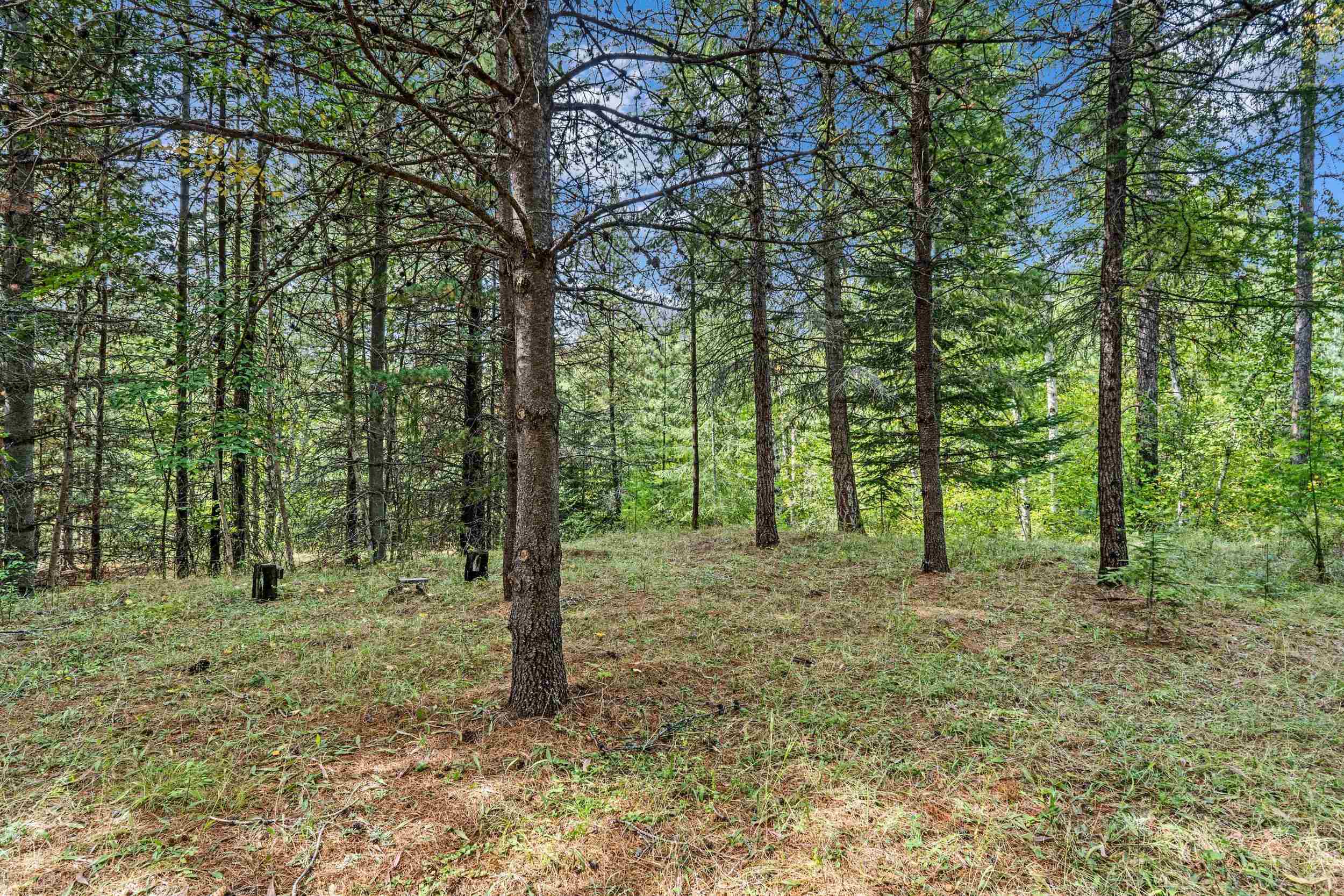 220 Catamount Ridge Ln - Photo 21