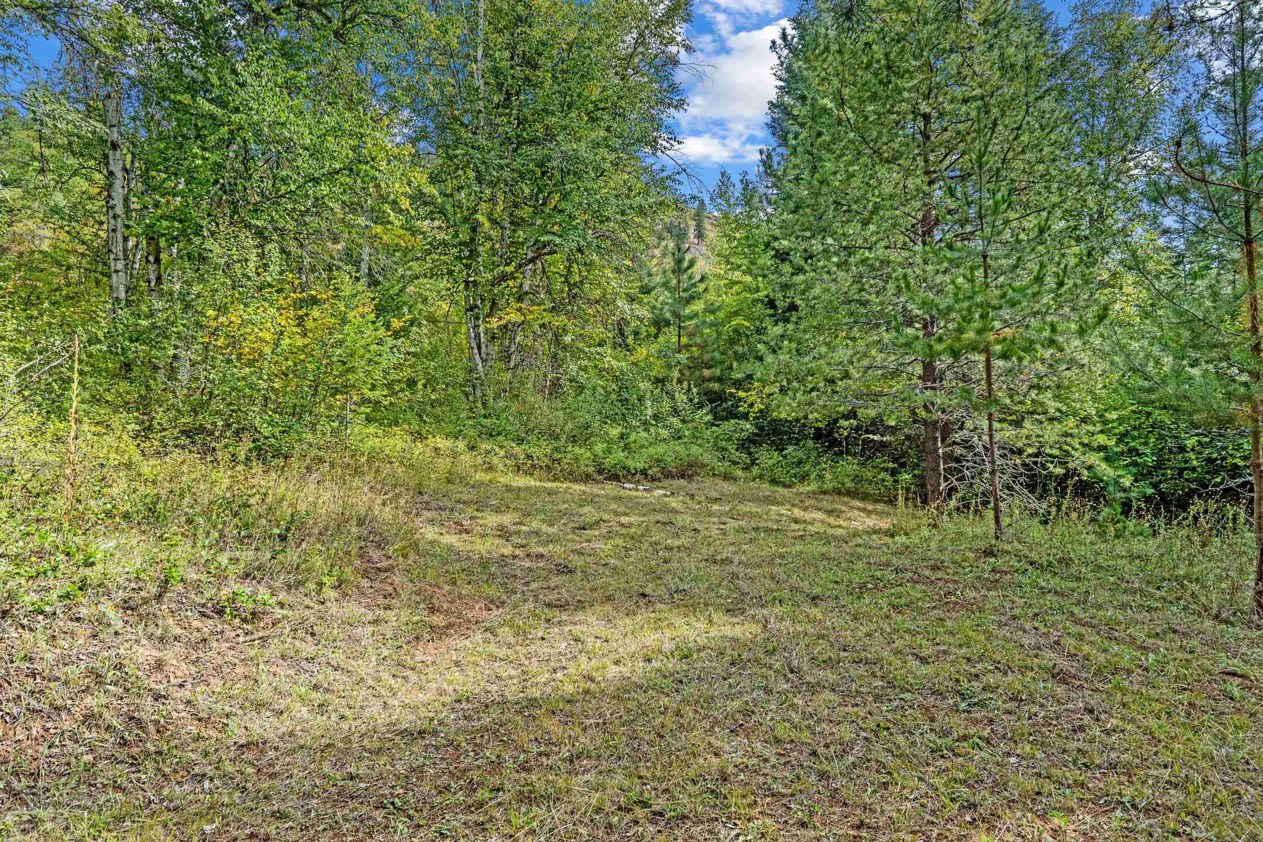 220 Catamount Ridge Ln - Photo 22