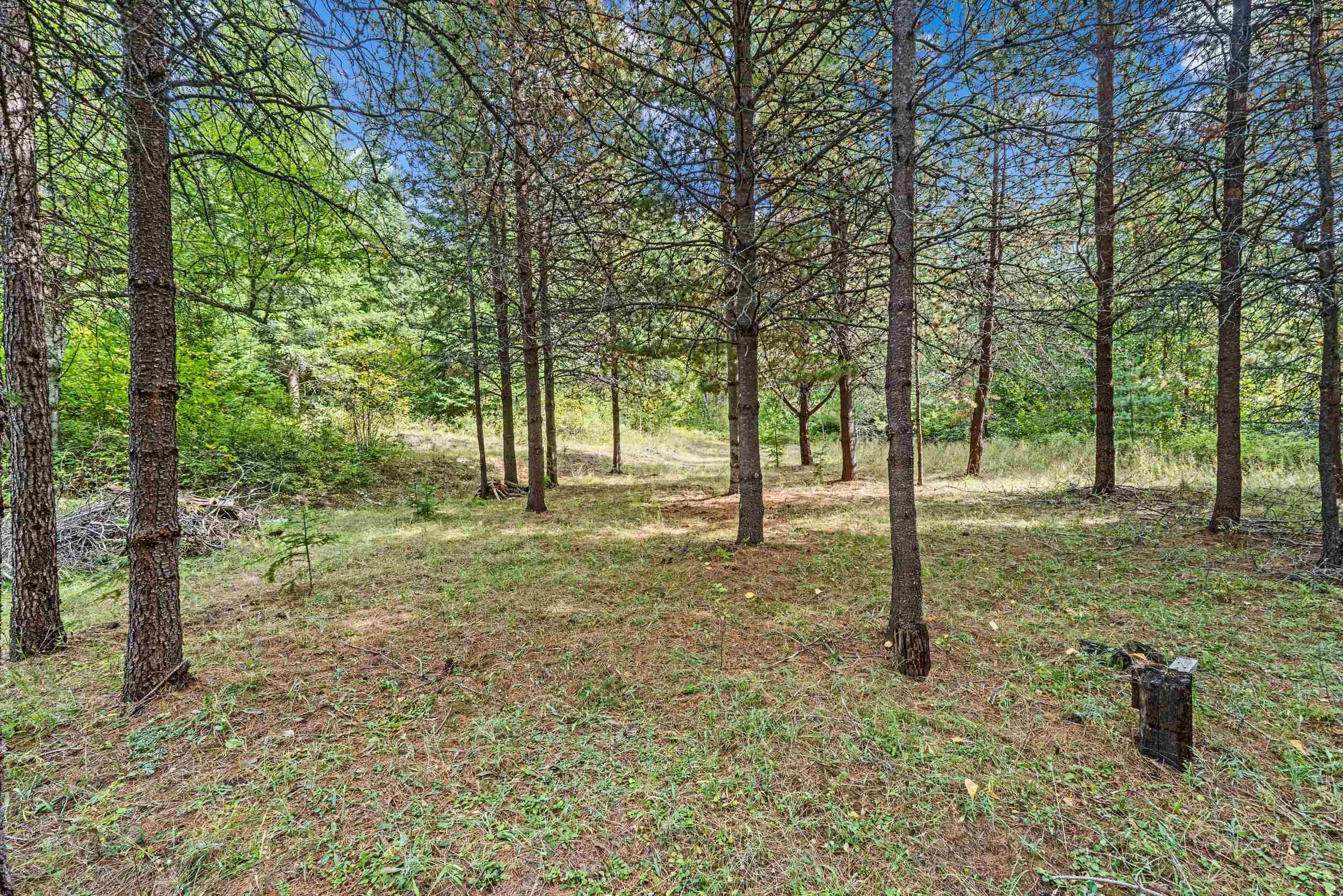 220 Catamount Ridge Ln - Photo 23