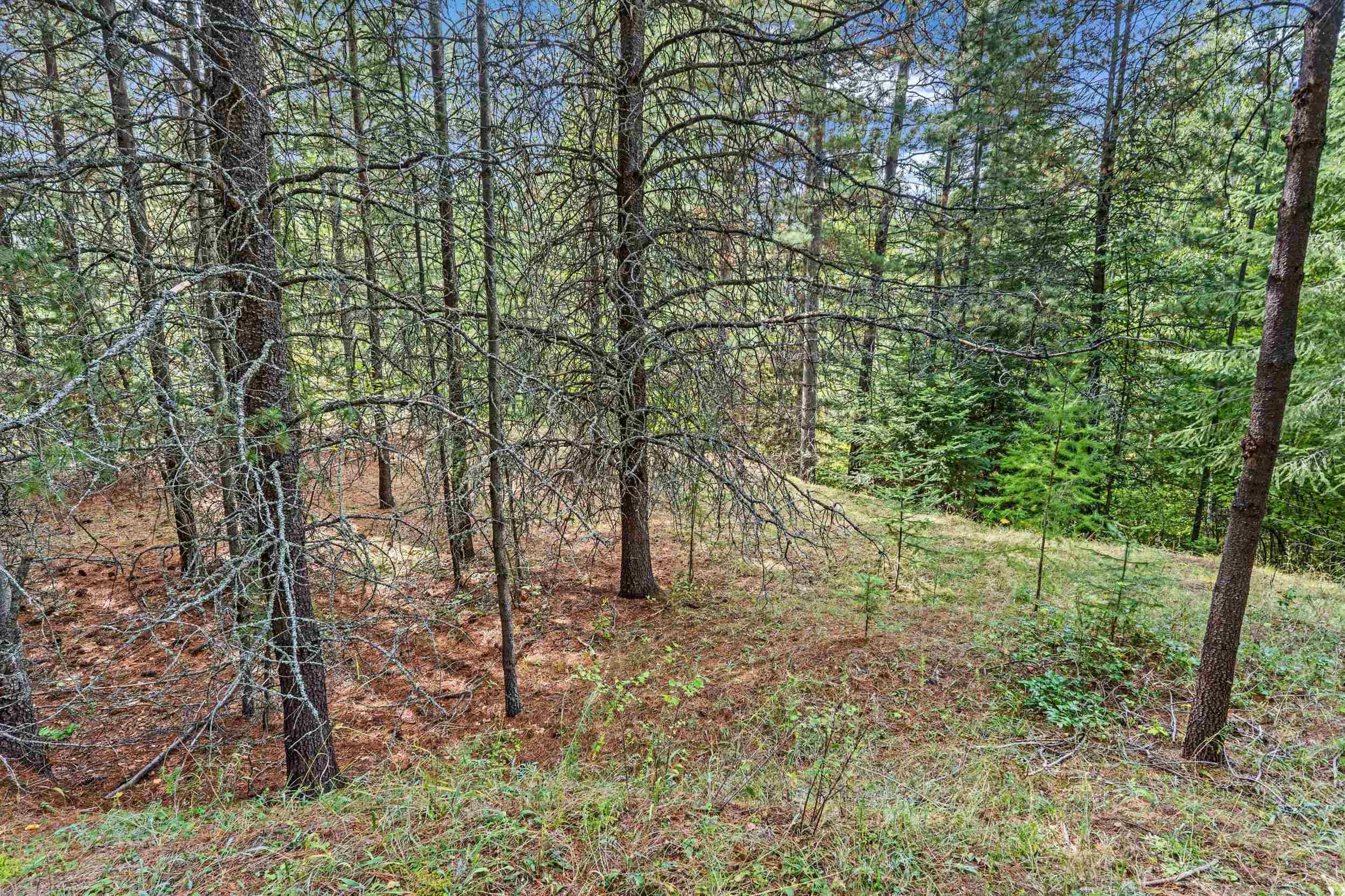 220 Catamount Ridge Ln - Photo 24