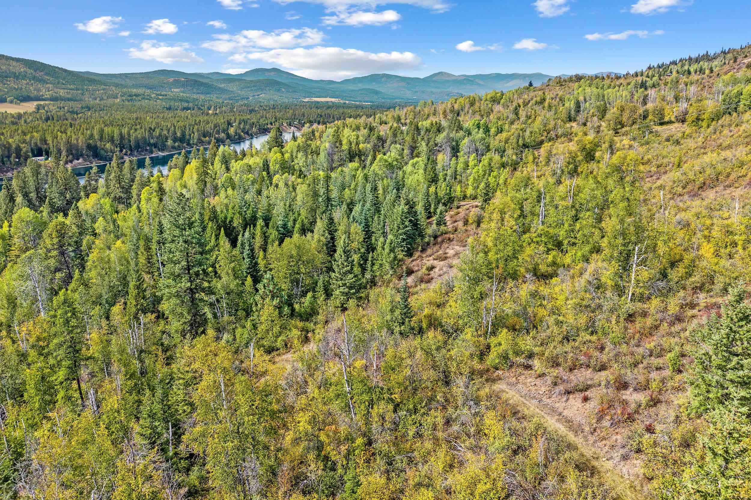 220 Catamount Ridge Ln - Photo 33